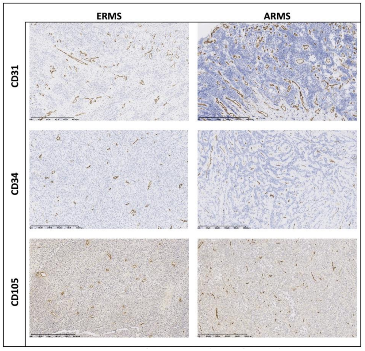 Jcm 10 00512 g002 Jcm 10 00512 g002