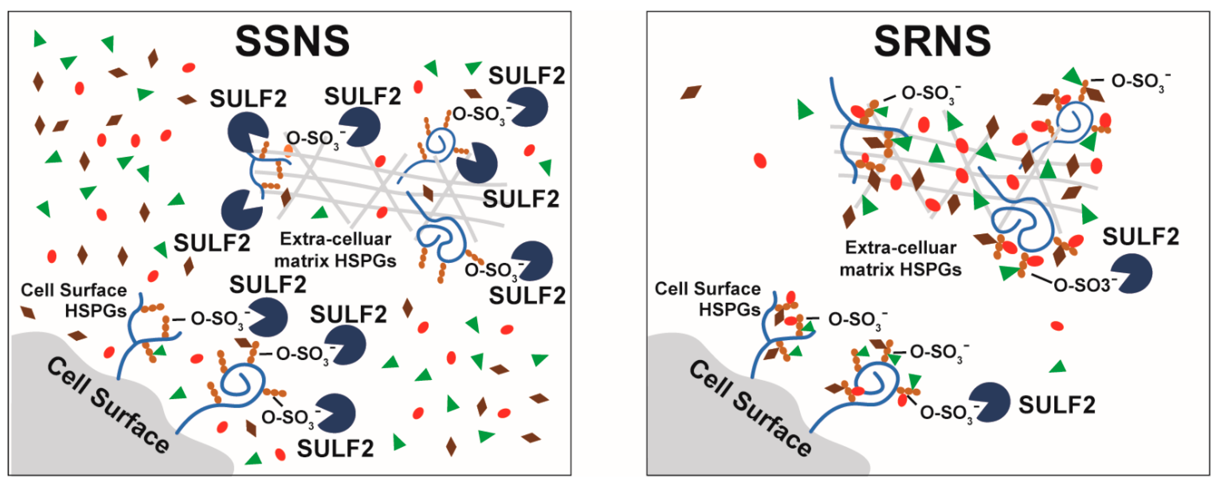 Jcm 10 00523 g007 Jcm 10 00523 g007