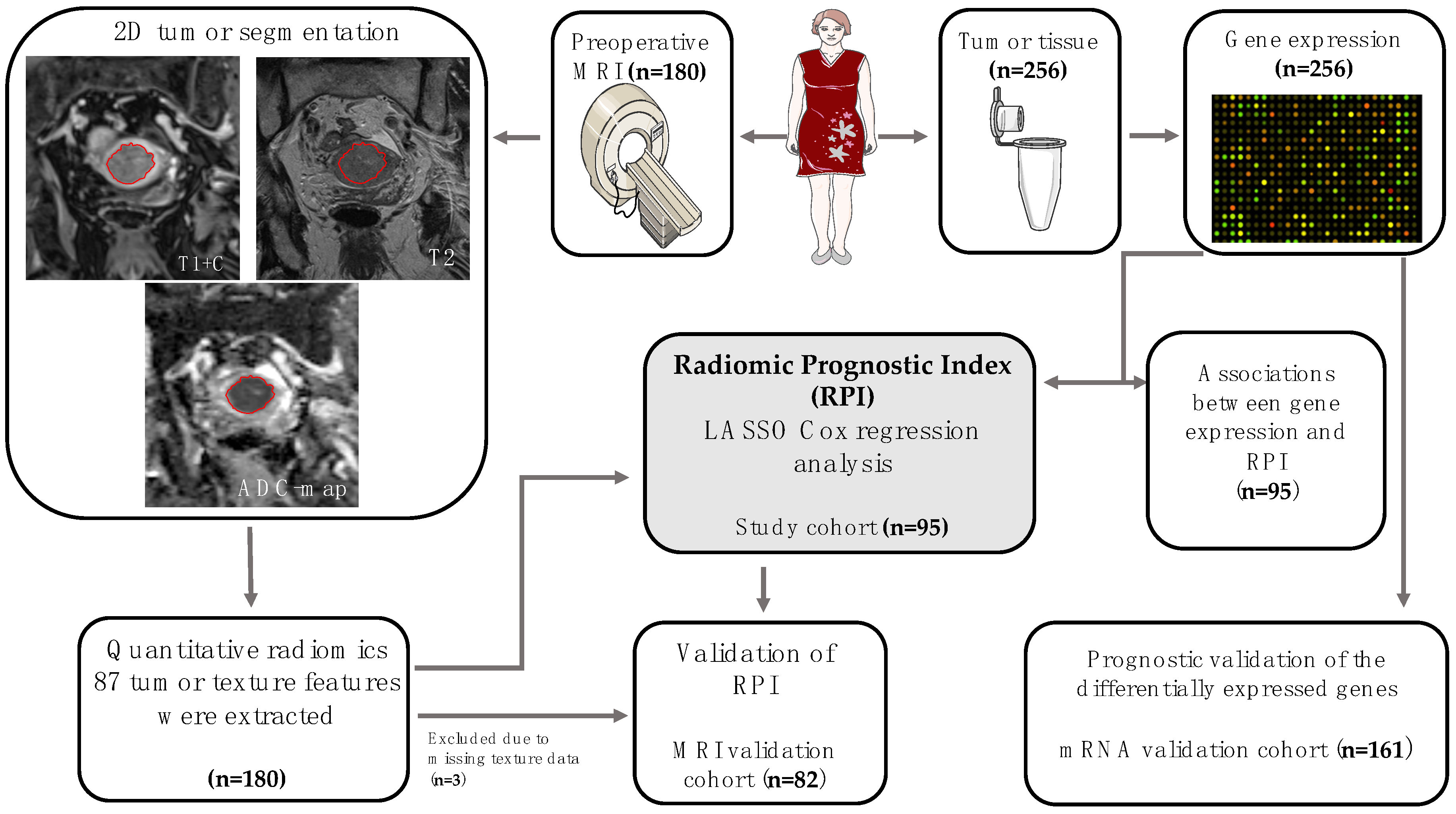 Jcm 10 00538 g001 Jcm 10 00538 g001