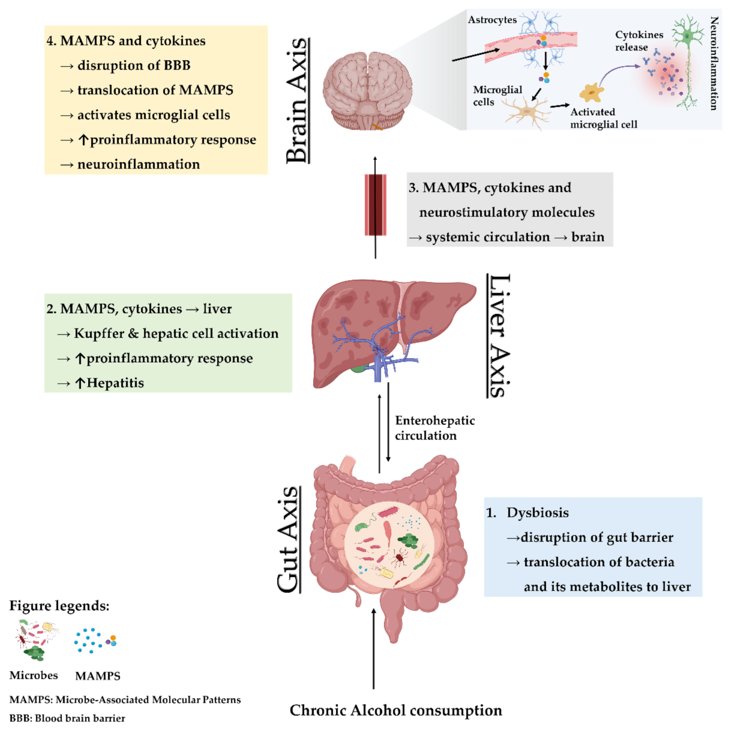 Jcm 10 00541 g001 Jcm 10 00541 g001