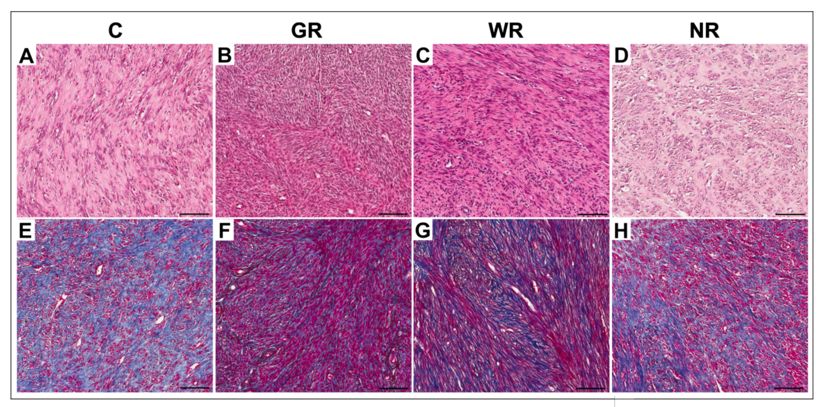 Jcm 10 00562 g001 Jcm 10 00562 g001