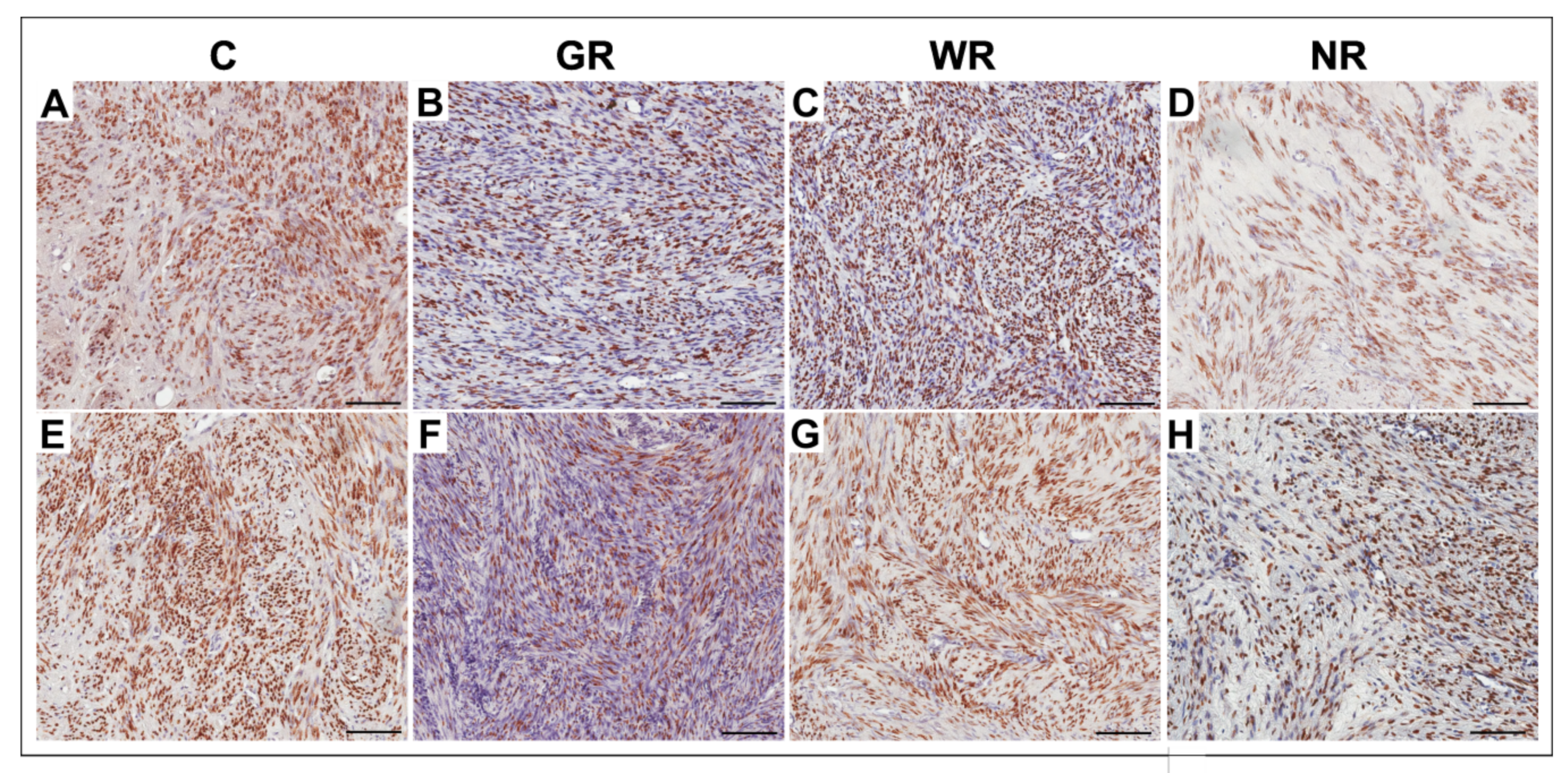 Jcm 10 00562 g002 Jcm 10 00562 g002