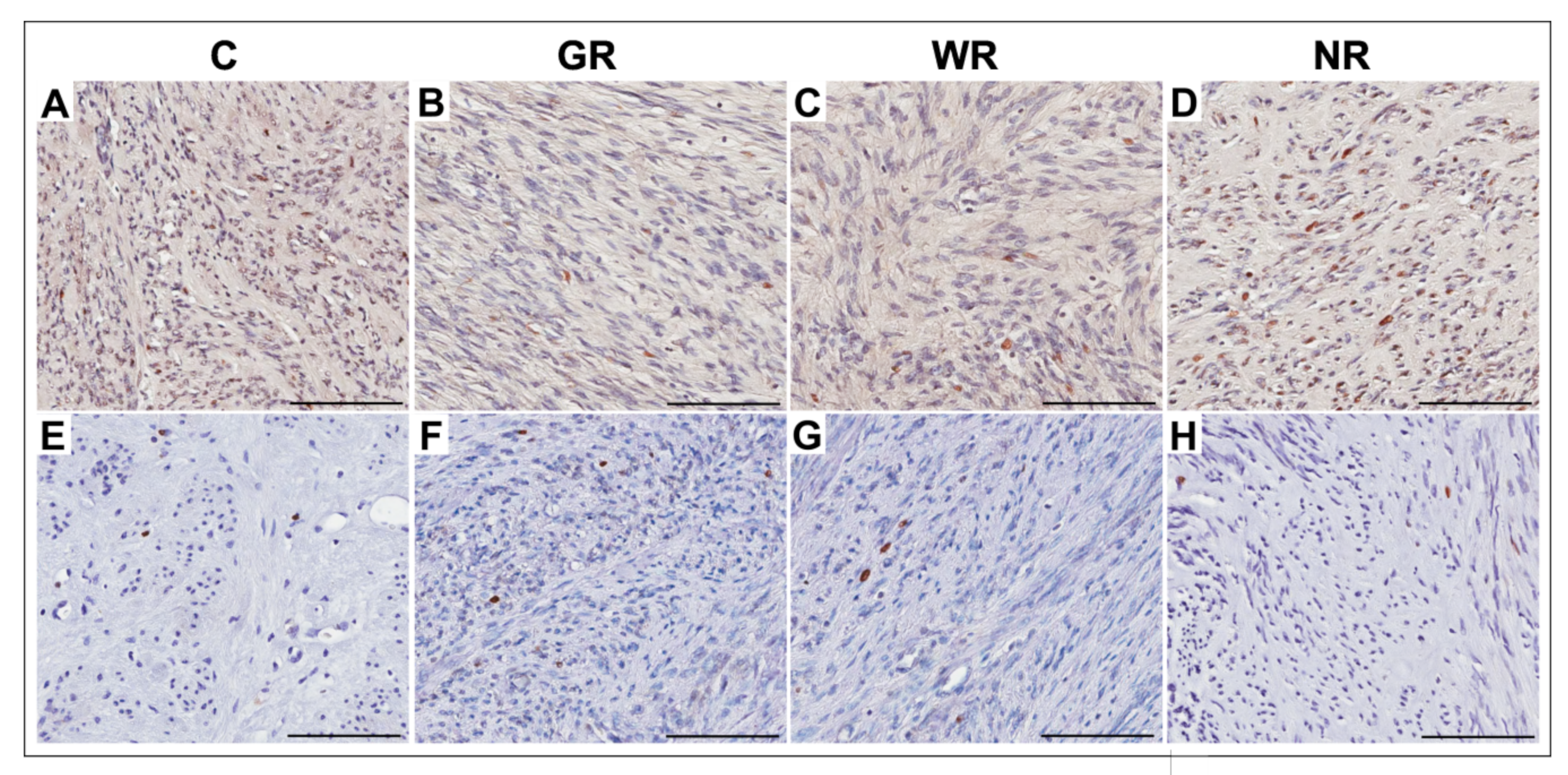 Jcm 10 00562 g003 Jcm 10 00562 g003