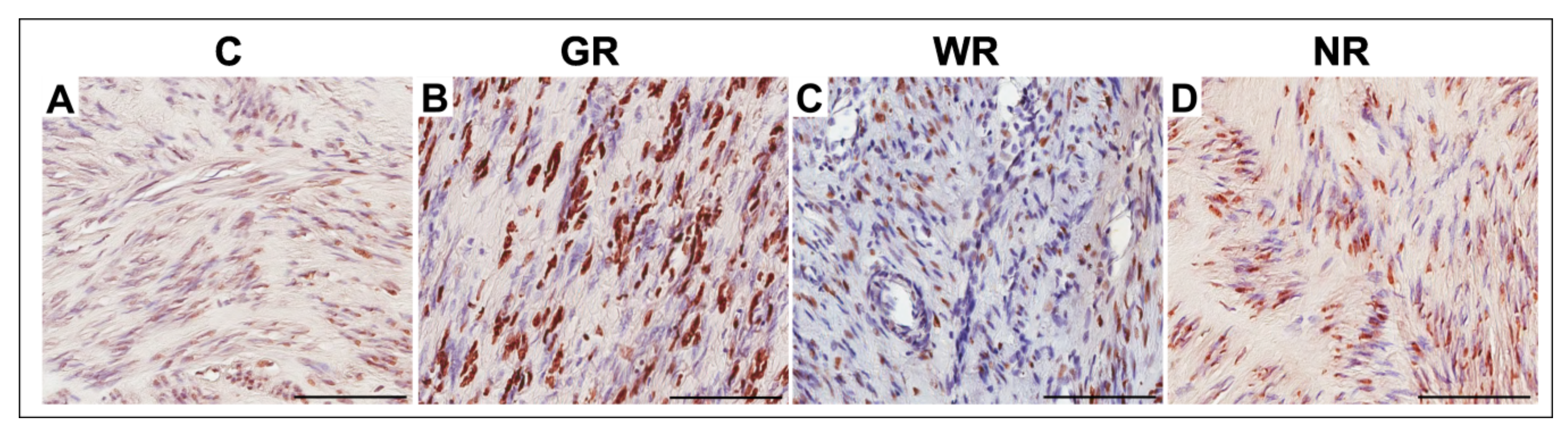 Jcm 10 00562 g004 Jcm 10 00562 g004
