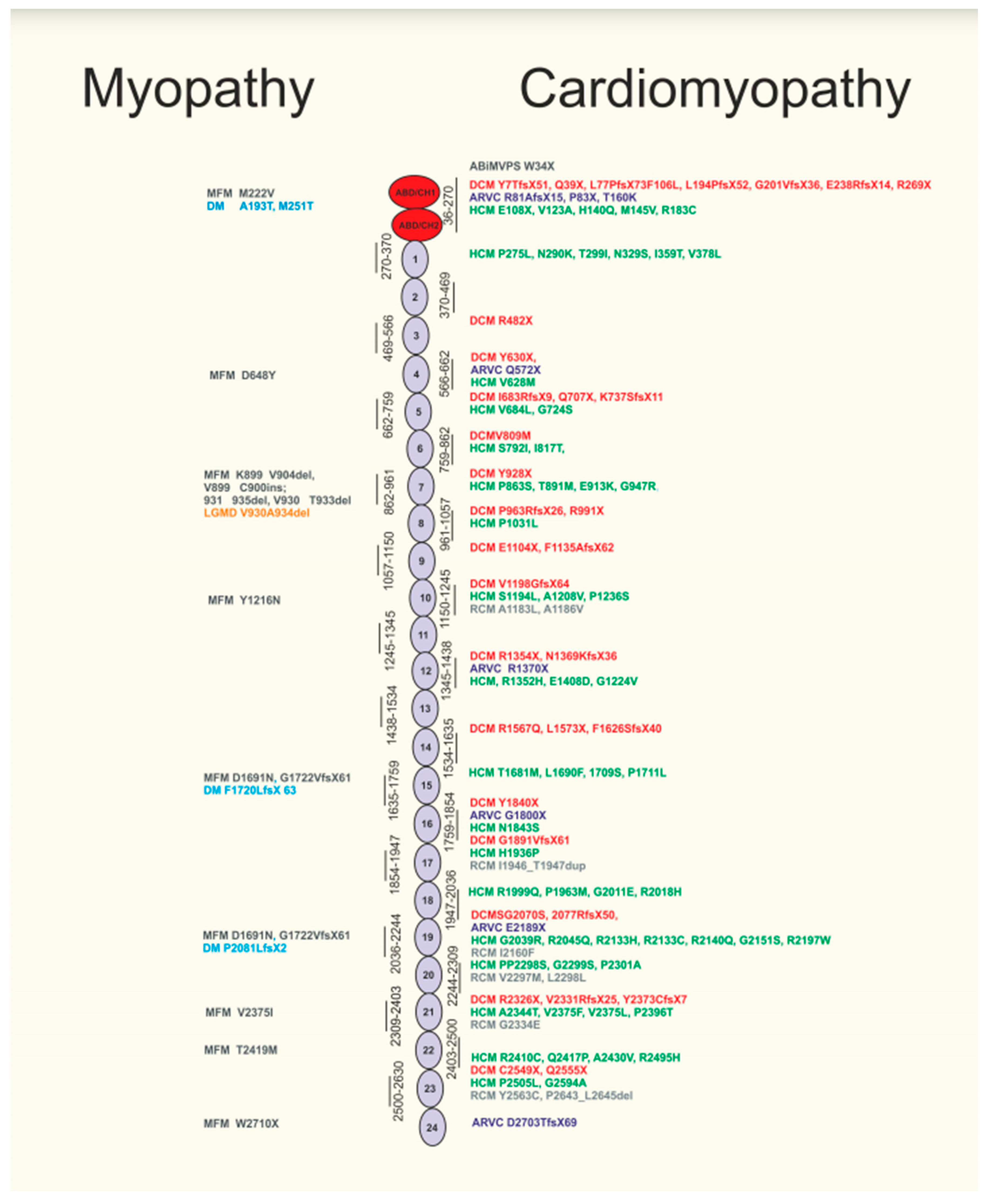 Jcm 10 00577 g002 Jcm 10 00577 g002