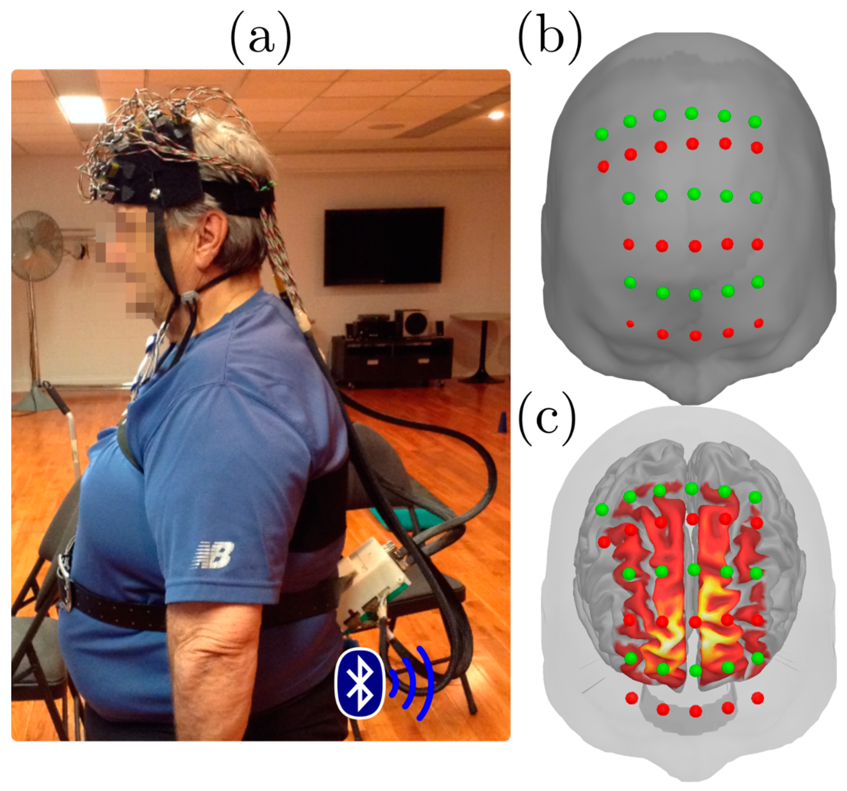 Jcm 10 00579 g001 Jcm 10 00579 g001