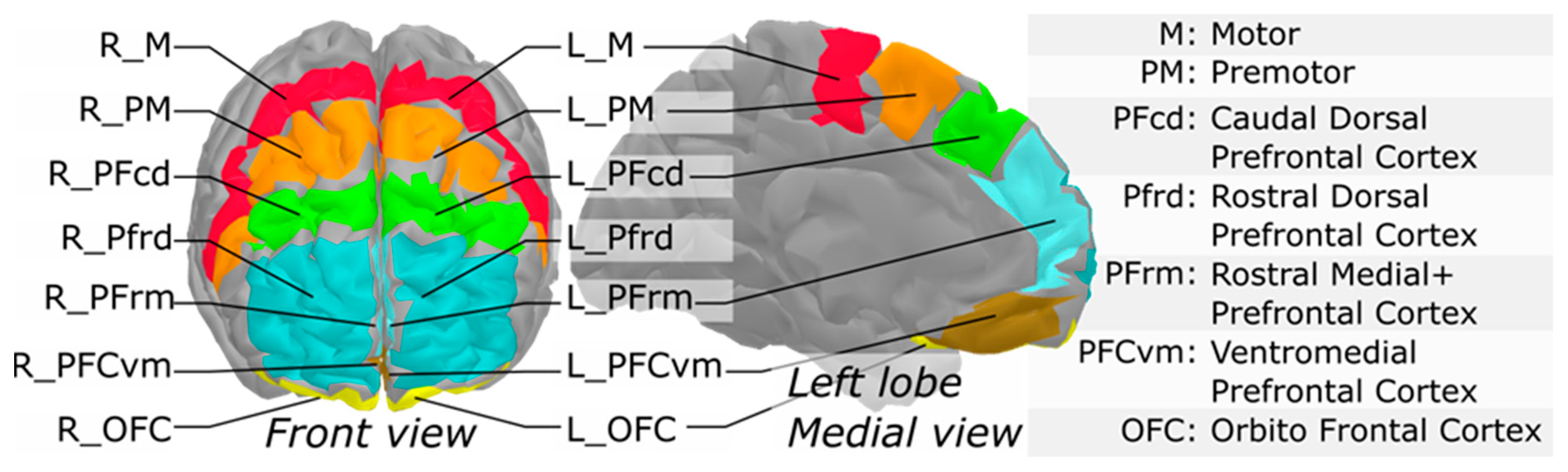 Jcm 10 00579 g002 Jcm 10 00579 g002