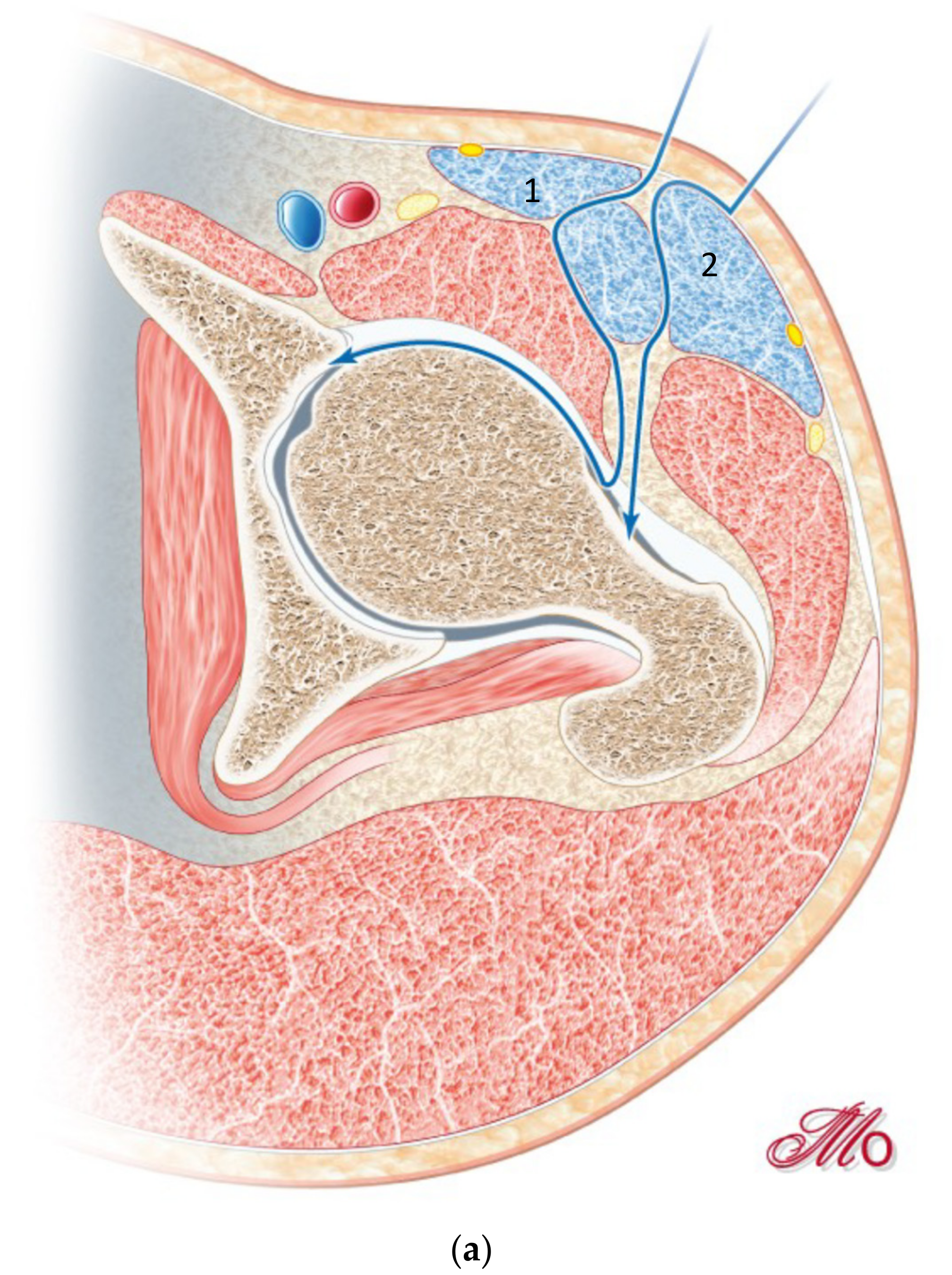 Jcm 10 00601 g003a Jcm 10 00601 g003a