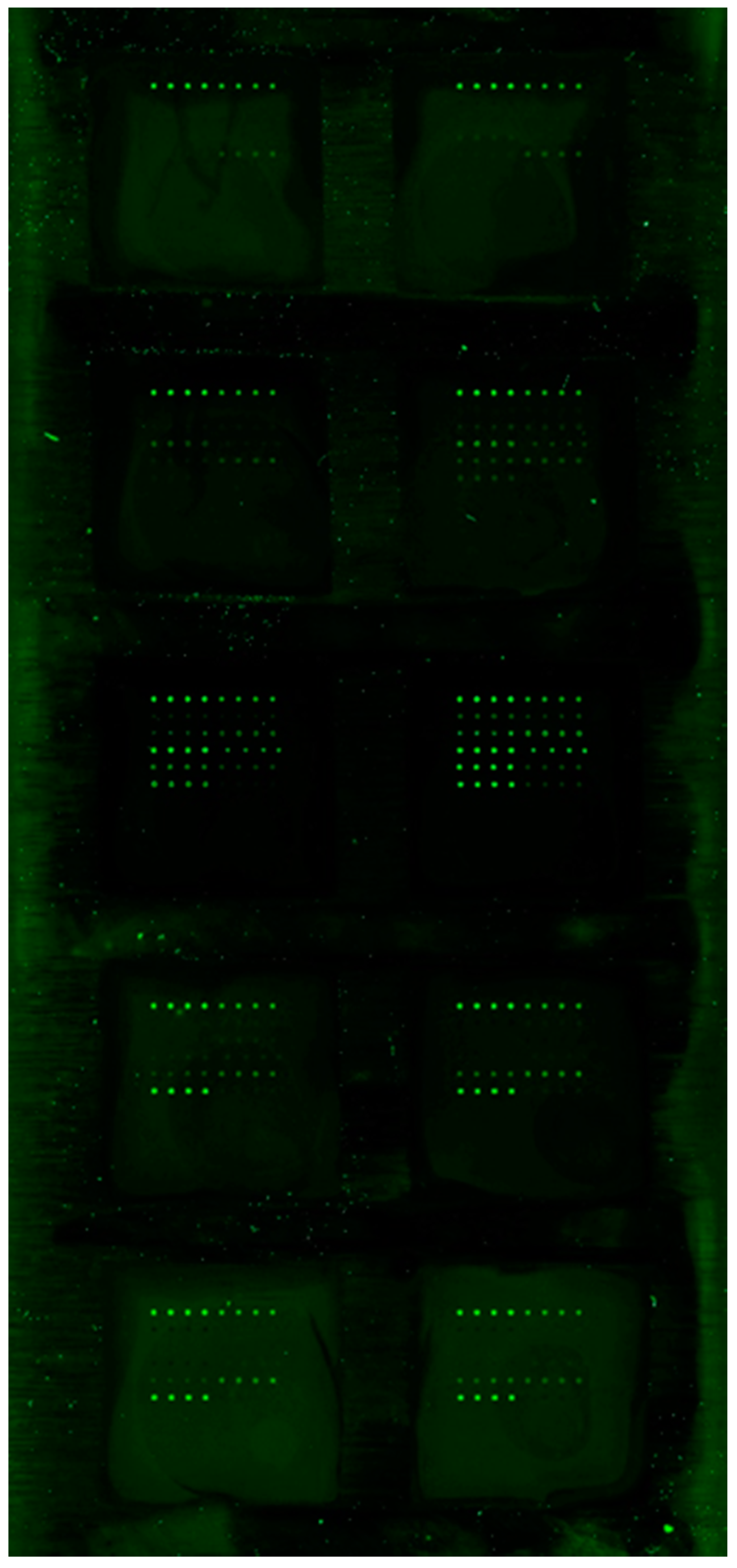 Jcm 10 00623 g003 Jcm 10 00623 g003