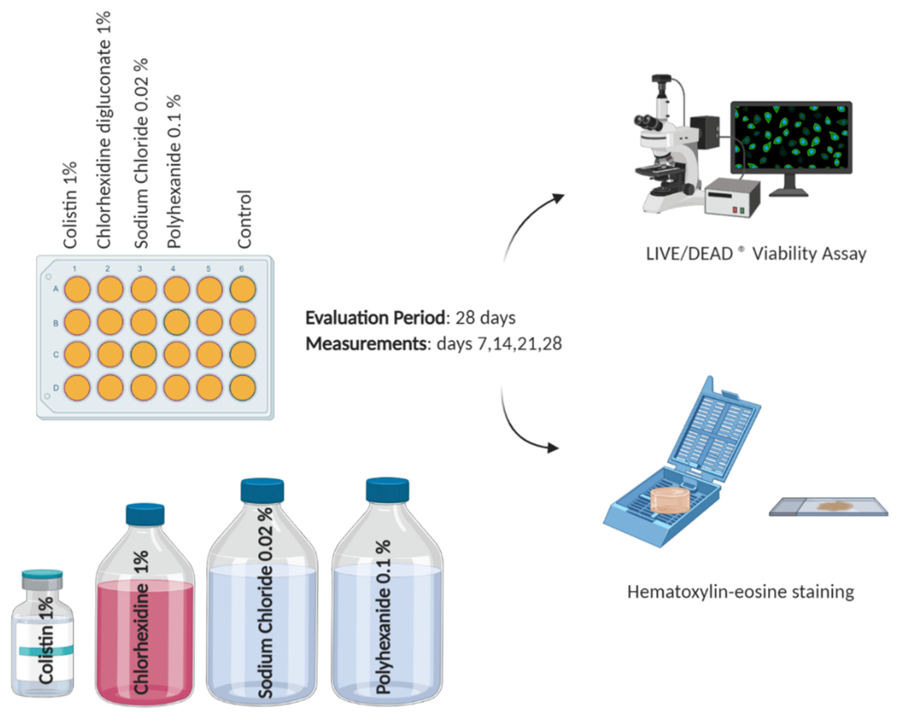 Jcm 10 00642 g002 Jcm 10 00642 g002