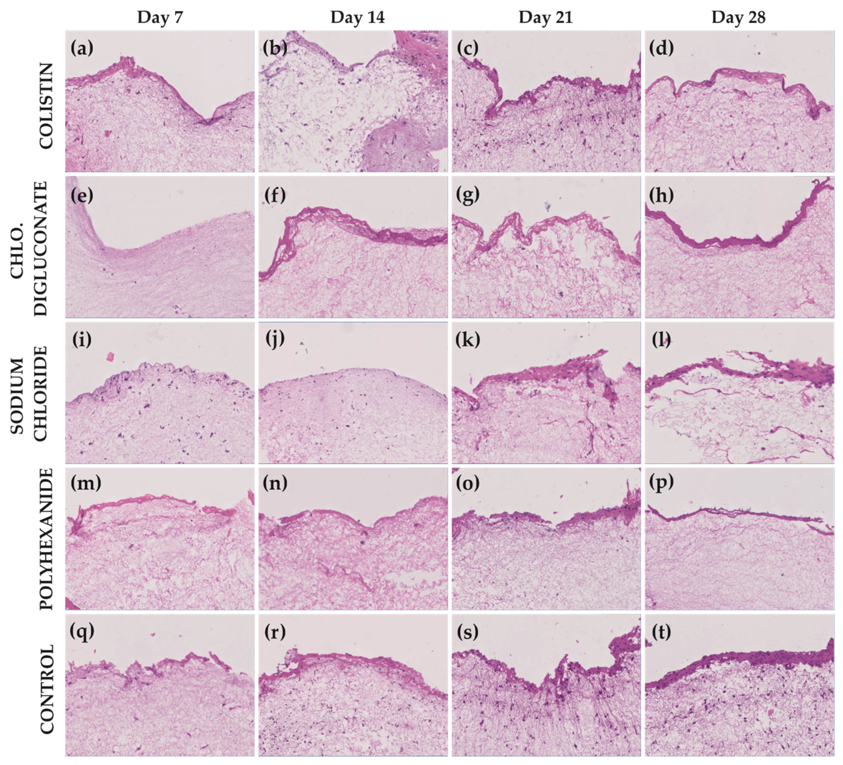 Jcm 10 00642 g008 Jcm 10 00642 g008