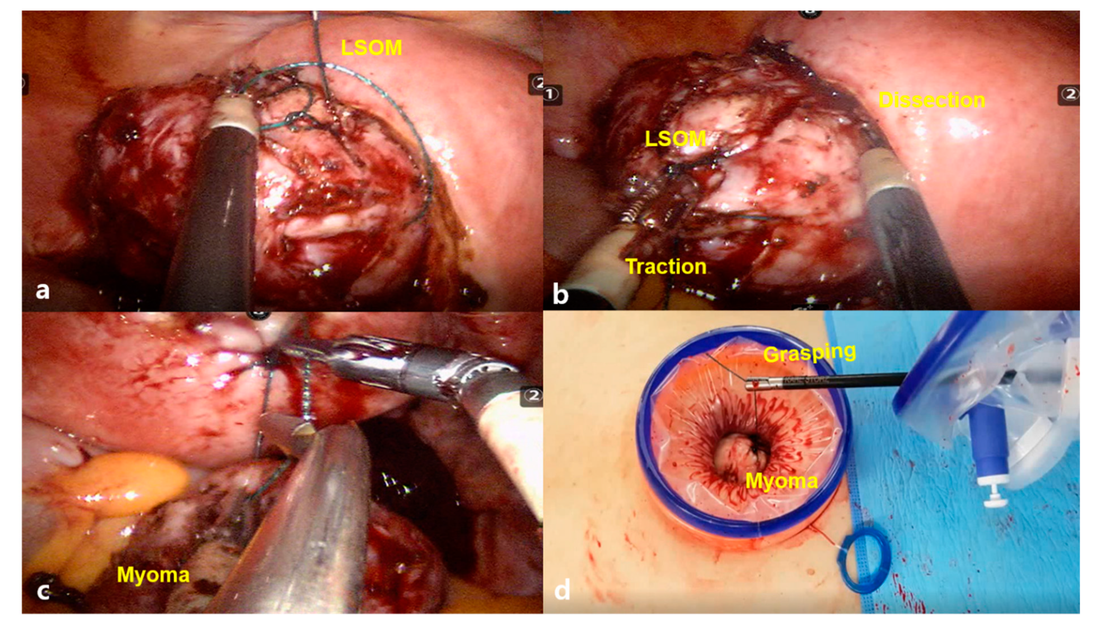 Jcm 10 00654 g002 Jcm 10 00654 g002