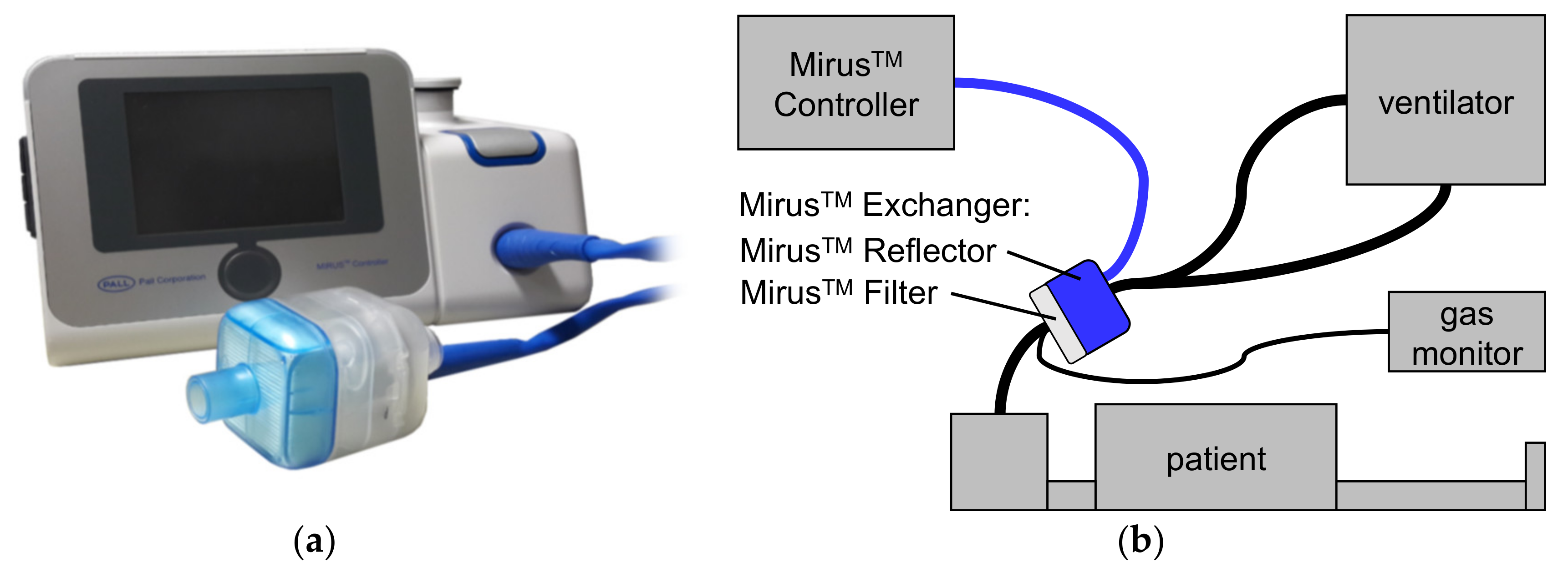 Jcm 10 00665 g001 Jcm 10 00665 g001