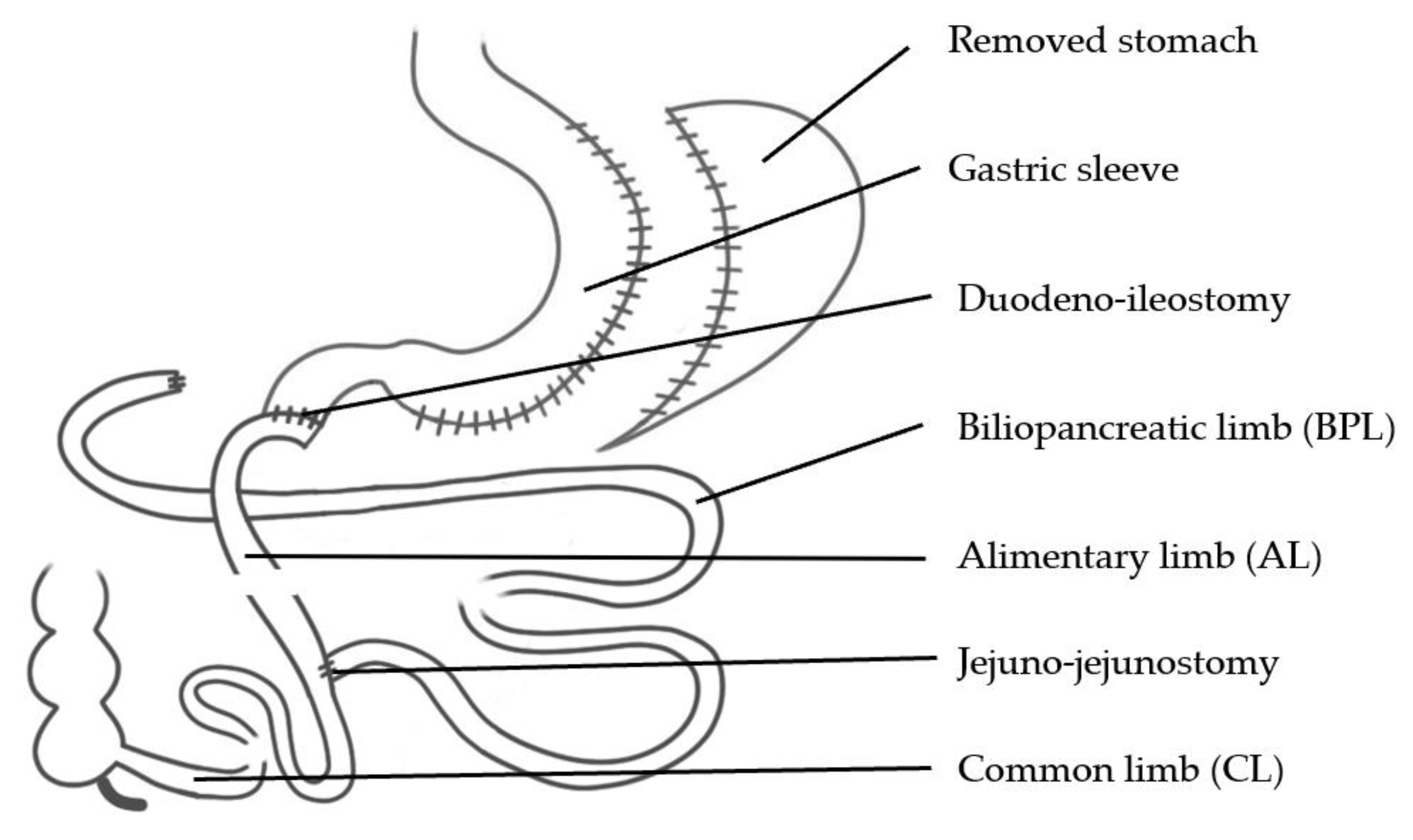 Jcm 10 00674 g004 Jcm 10 00674 g004