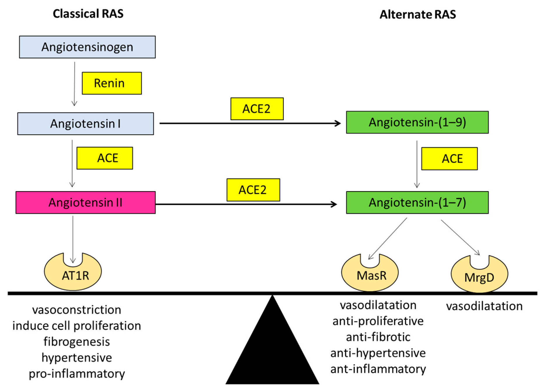 Jcm 10 00702 g001 Jcm 10 00702 g001