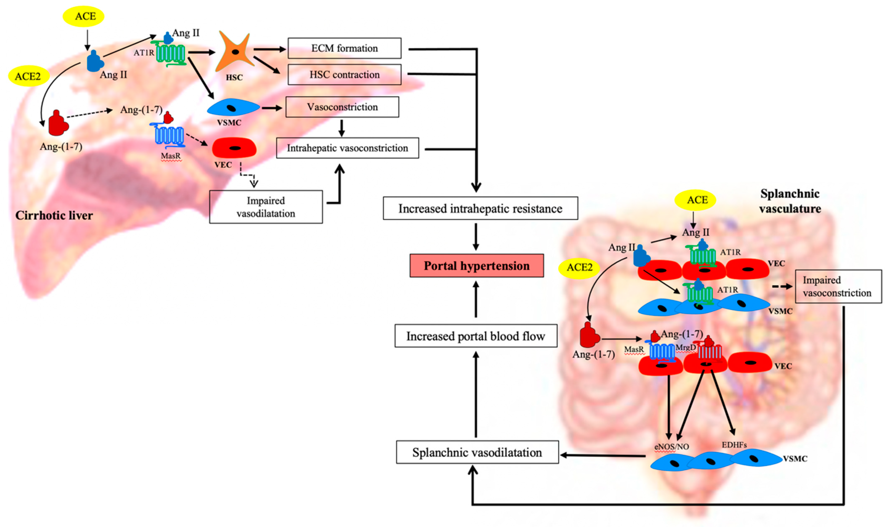 Jcm 10 00702 g004 Jcm 10 00702 g004