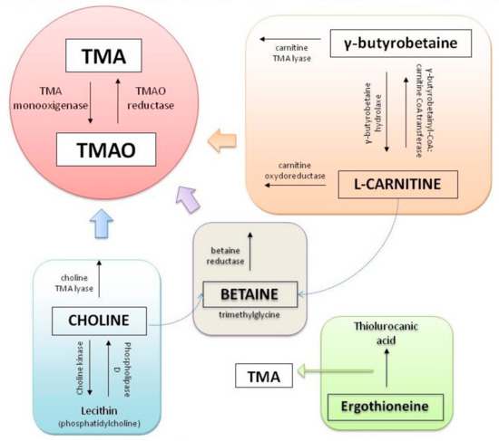 Jcm 10 00715 g003 550
