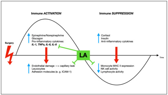 Local Anesthetics and Recurrence after Cancer Surgery-What’s New? A ...