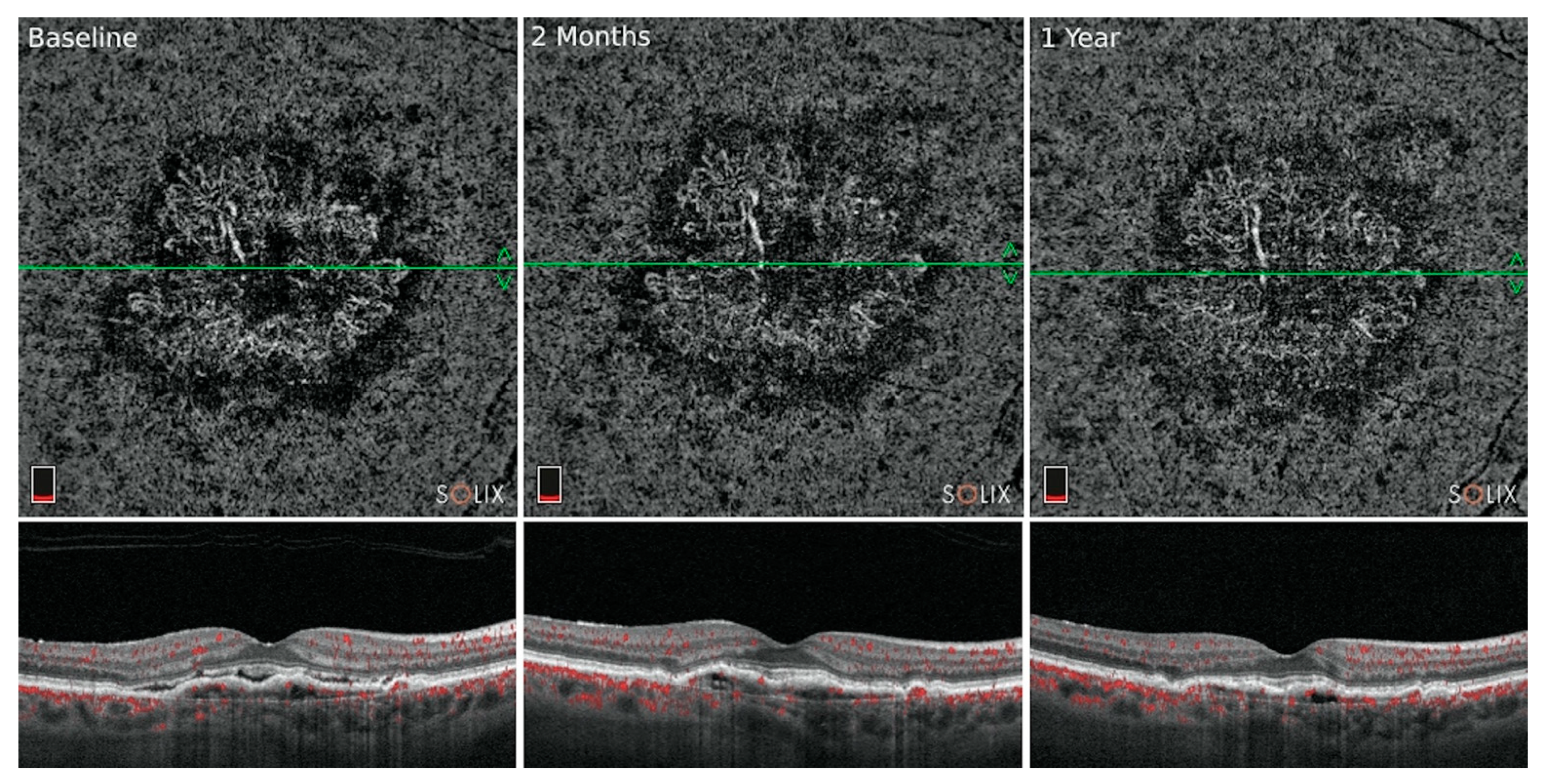 Jcm 10 00751 g003 Jcm 10 00751 g003