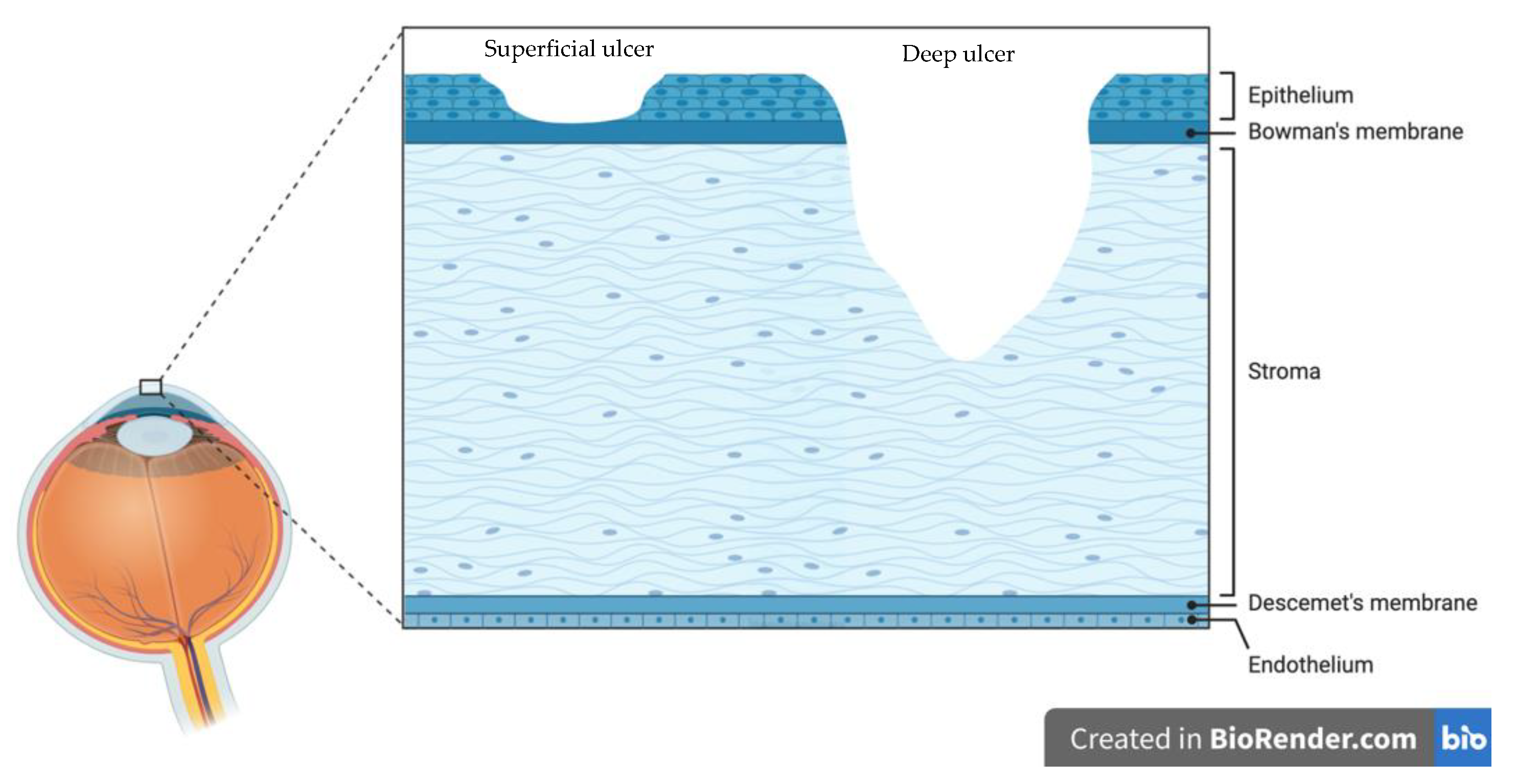 Jcm 10 00758 g002 Jcm 10 00758 g002