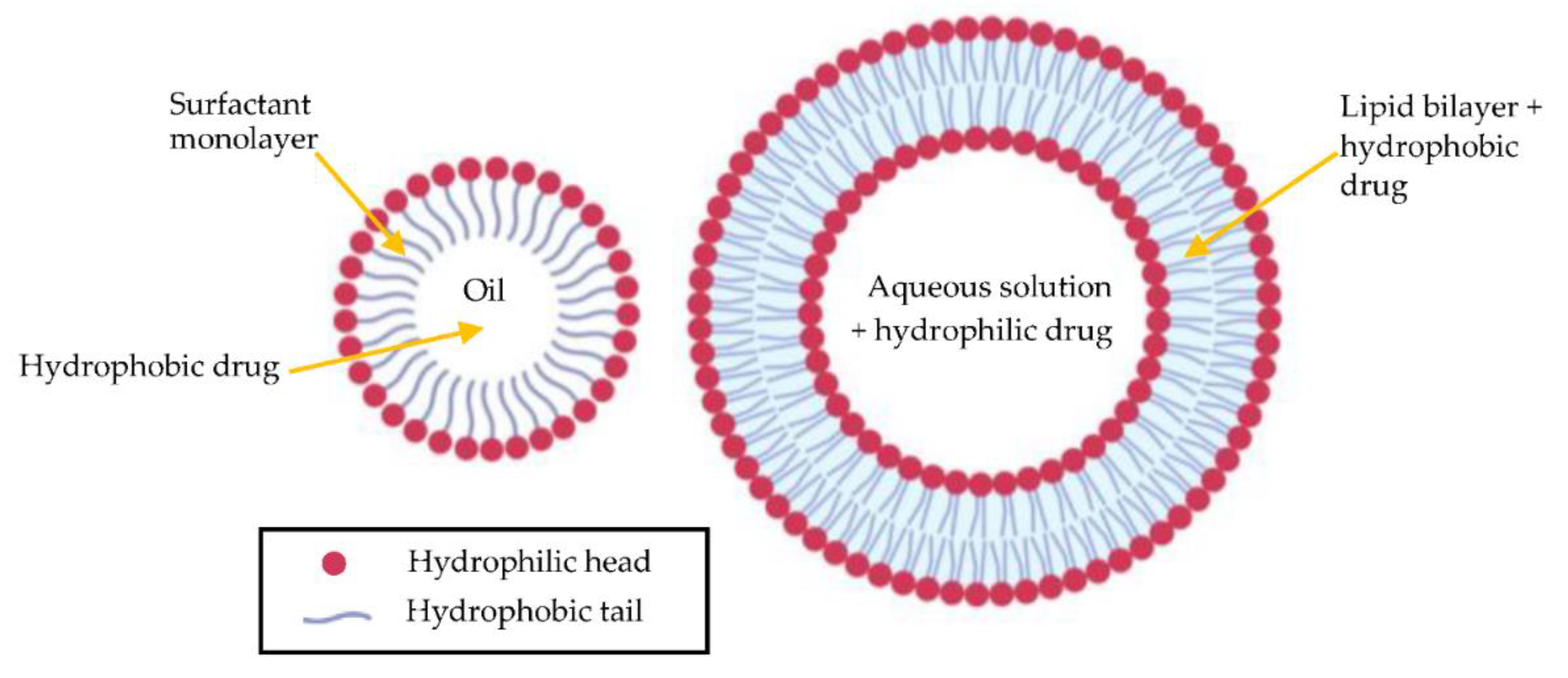 Jcm 10 00758 g004 Jcm 10 00758 g004