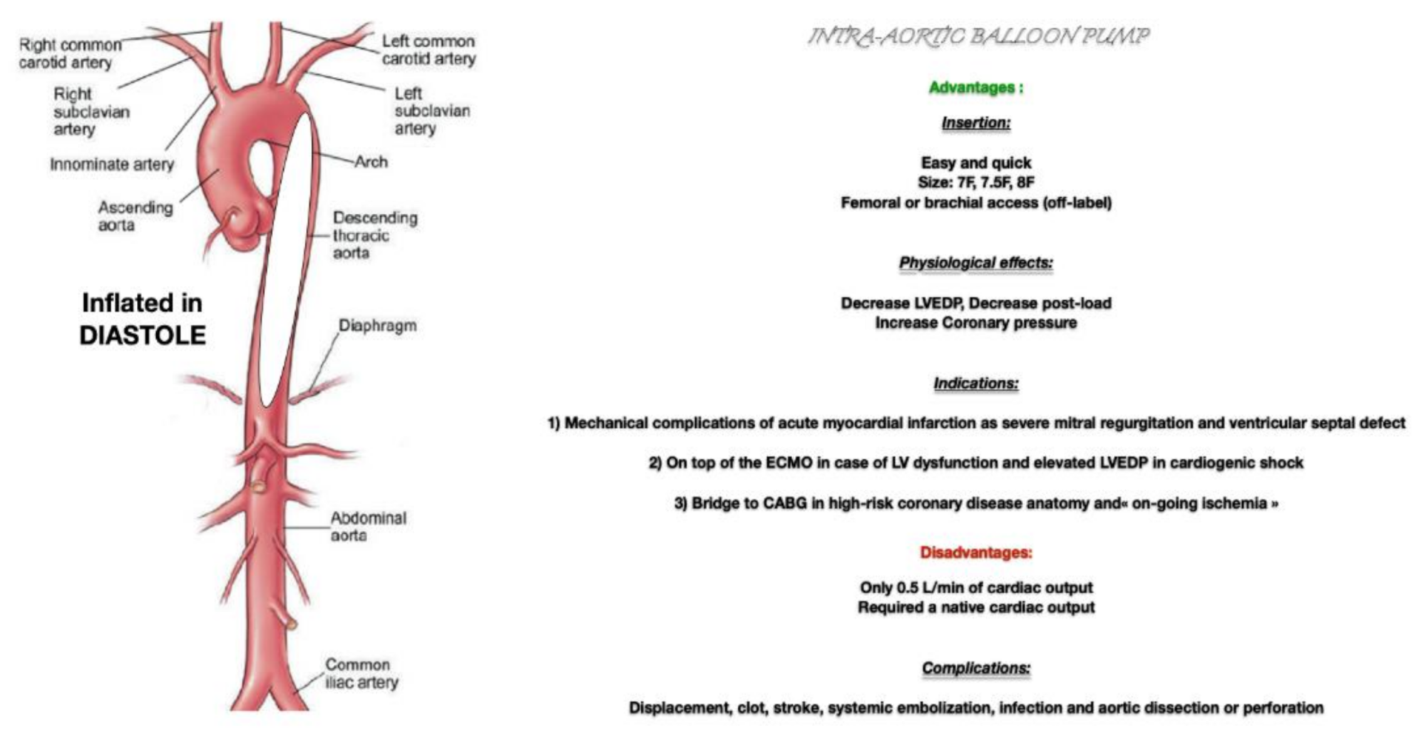 Jcm 10 00778 g001 Jcm 10 00778 g001