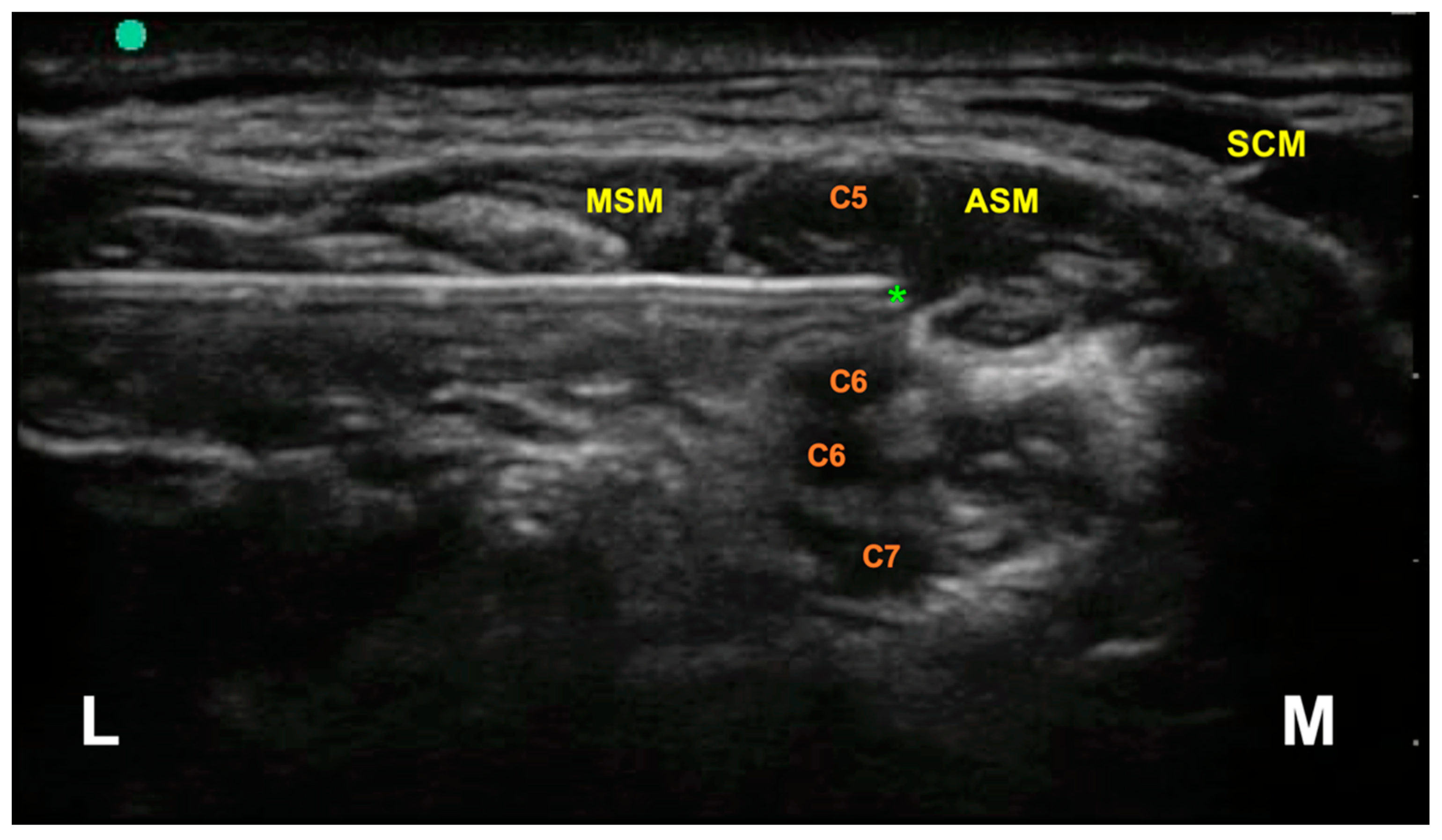 Jcm 10 00781 g003 Jcm 10 00781 g003