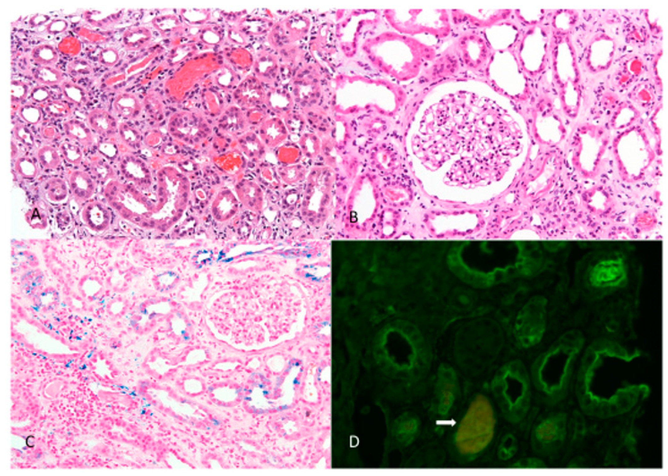 Jcm 10 00796 g002 Jcm 10 00796 g002