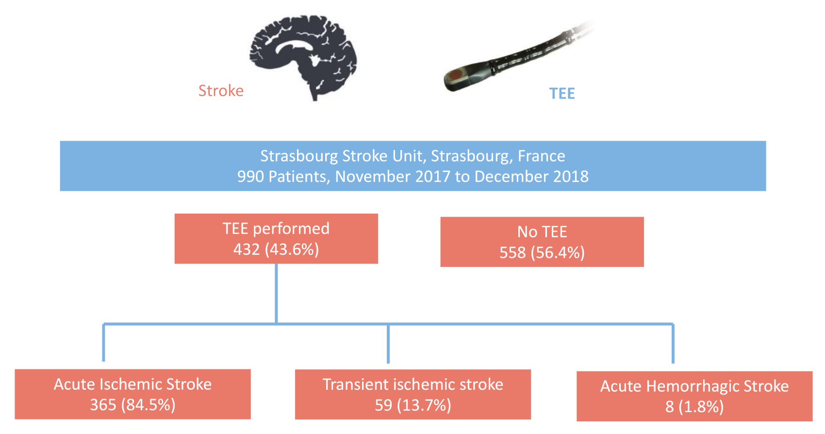 Jcm 10 00805 g002 Jcm 10 00805 g002