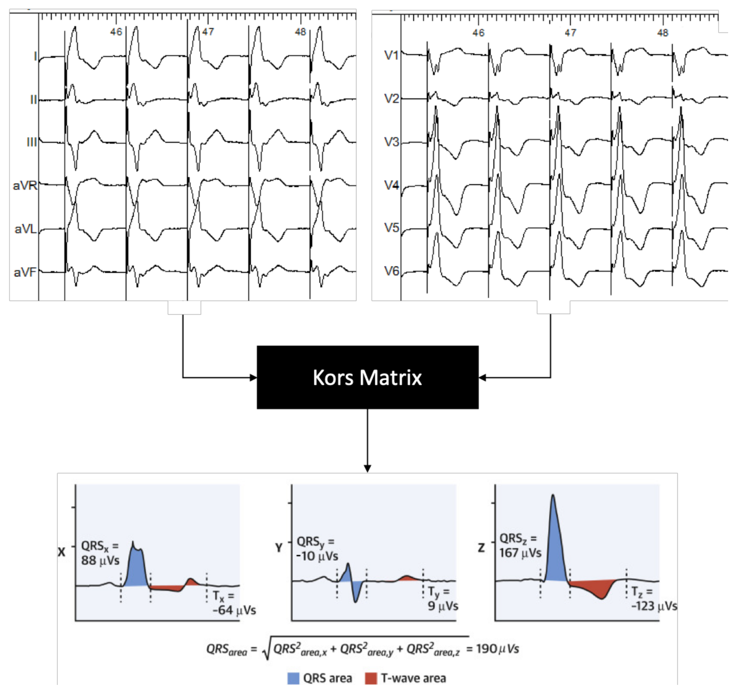 Jcm 10 00822 g002 Jcm 10 00822 g002