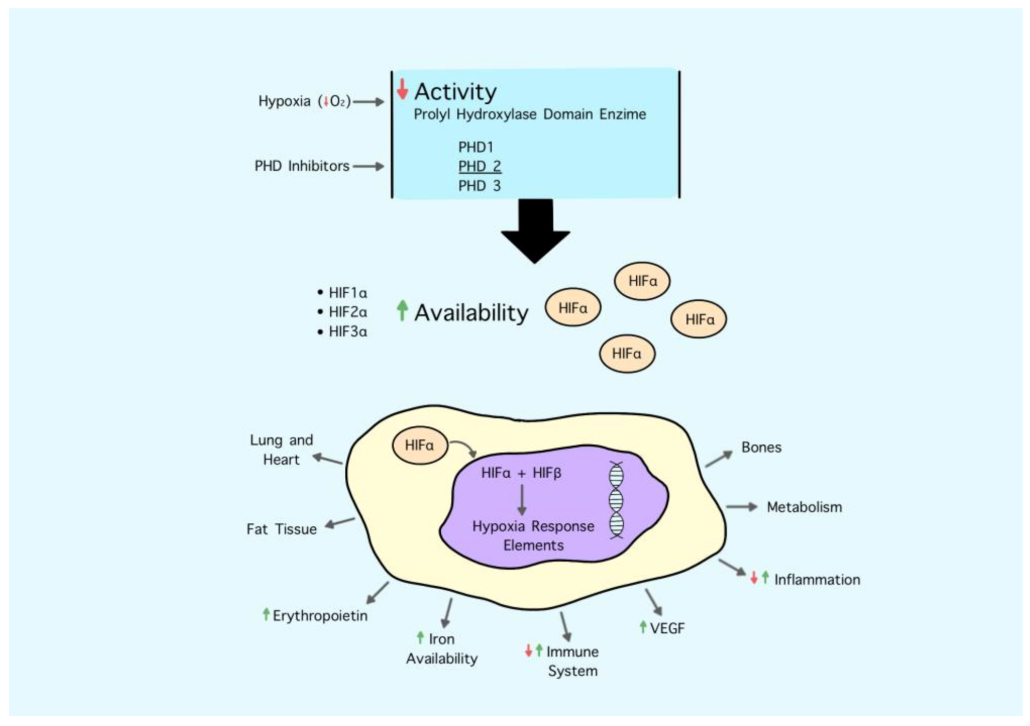 Jcm 10 00839 g001 Jcm 10 00839 g001