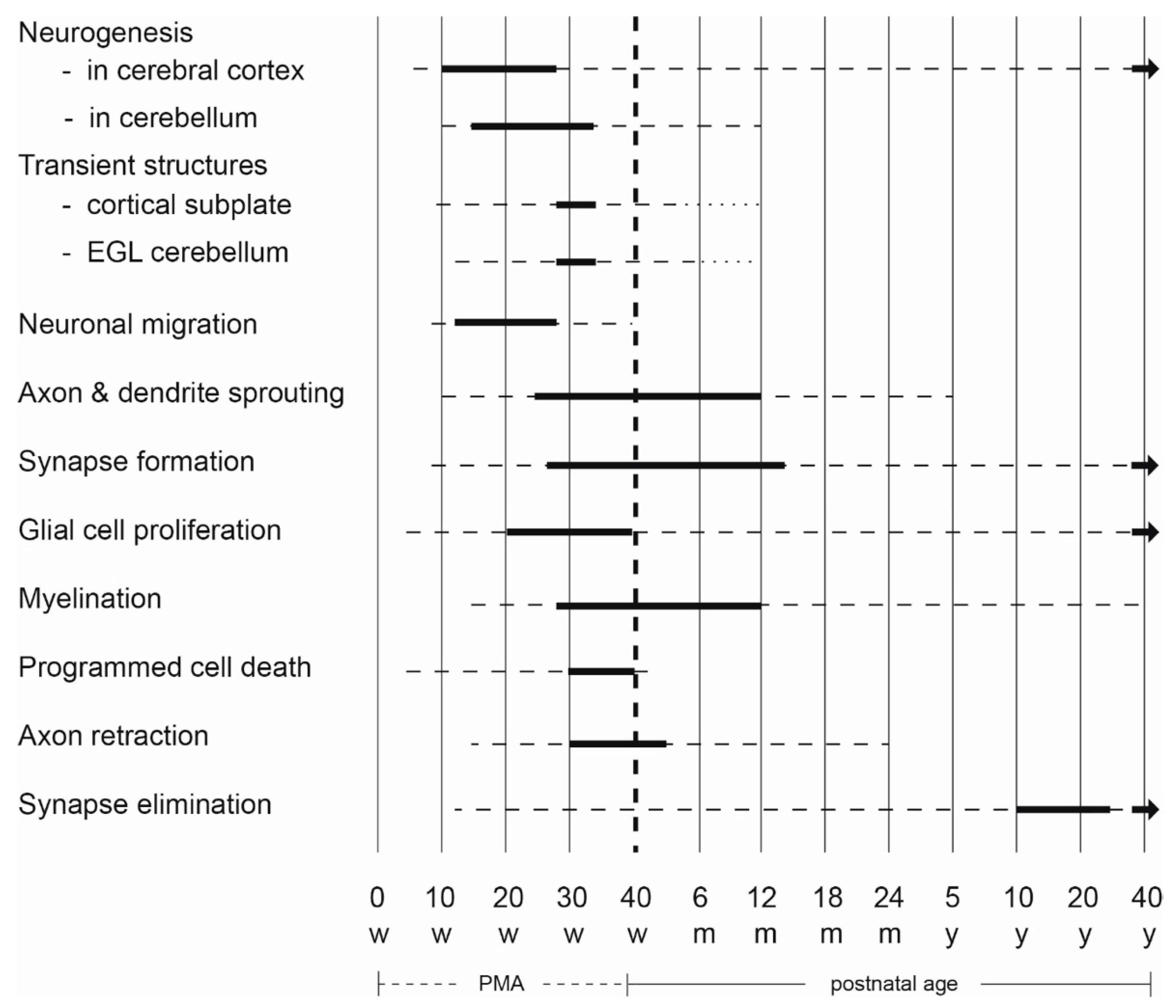 Jcm 10 00861 g001 Jcm 10 00861 g001