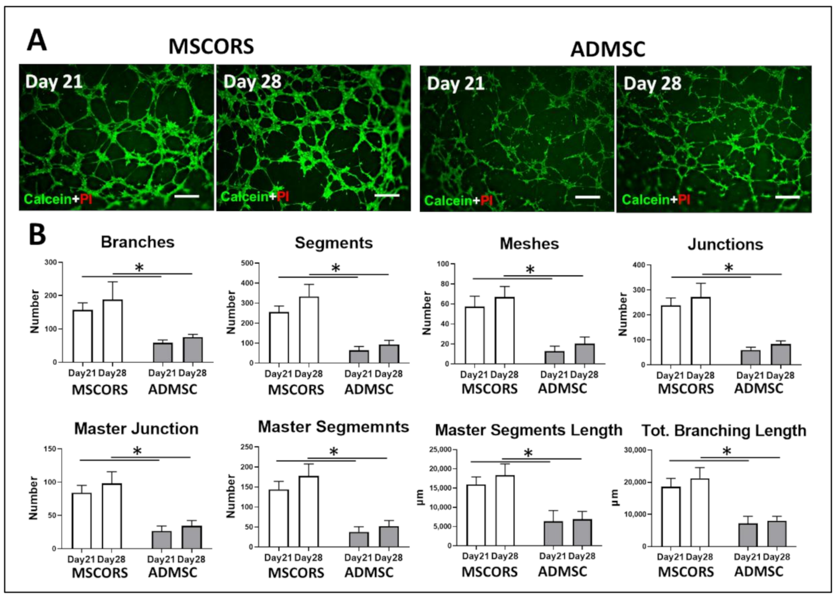 Jcm 10 00911 g002 Jcm 10 00911 g002