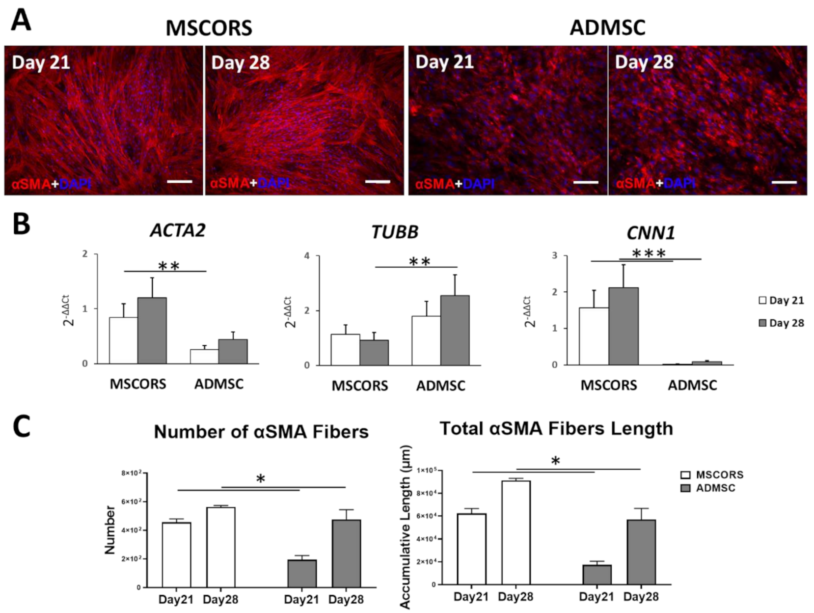 Jcm 10 00911 g003 Jcm 10 00911 g003