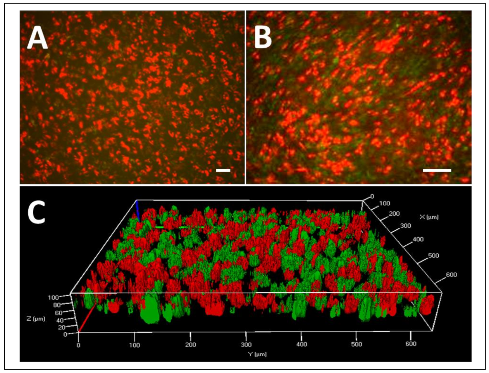 Jcm 10 00911 g004 Jcm 10 00911 g004