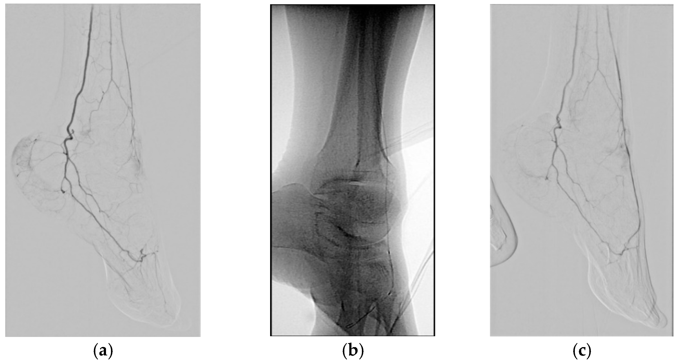 Jcm 10 00947 g002a Jcm 10 00947 g002a