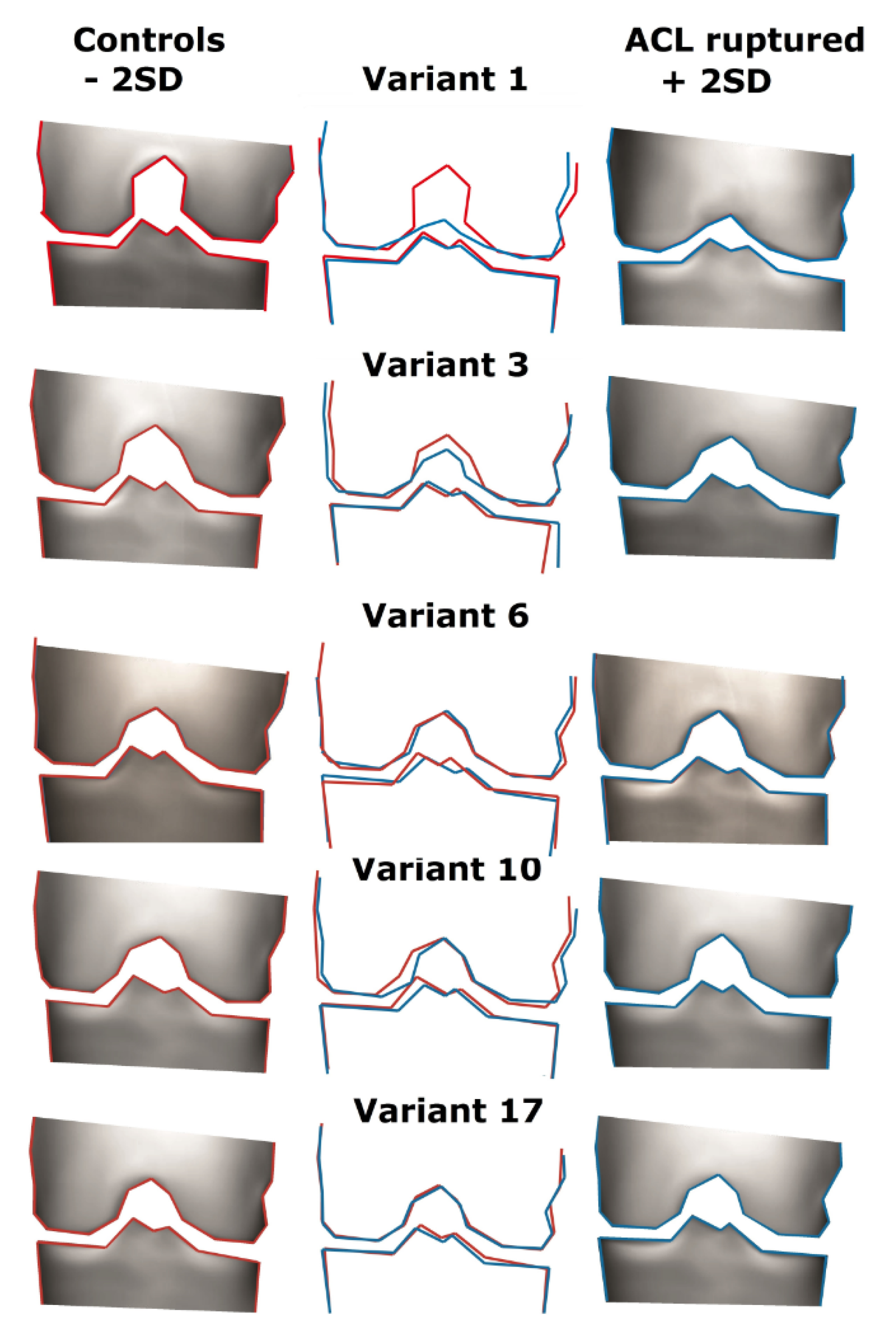Jcm 10 00968 g002 Jcm 10 00968 g002