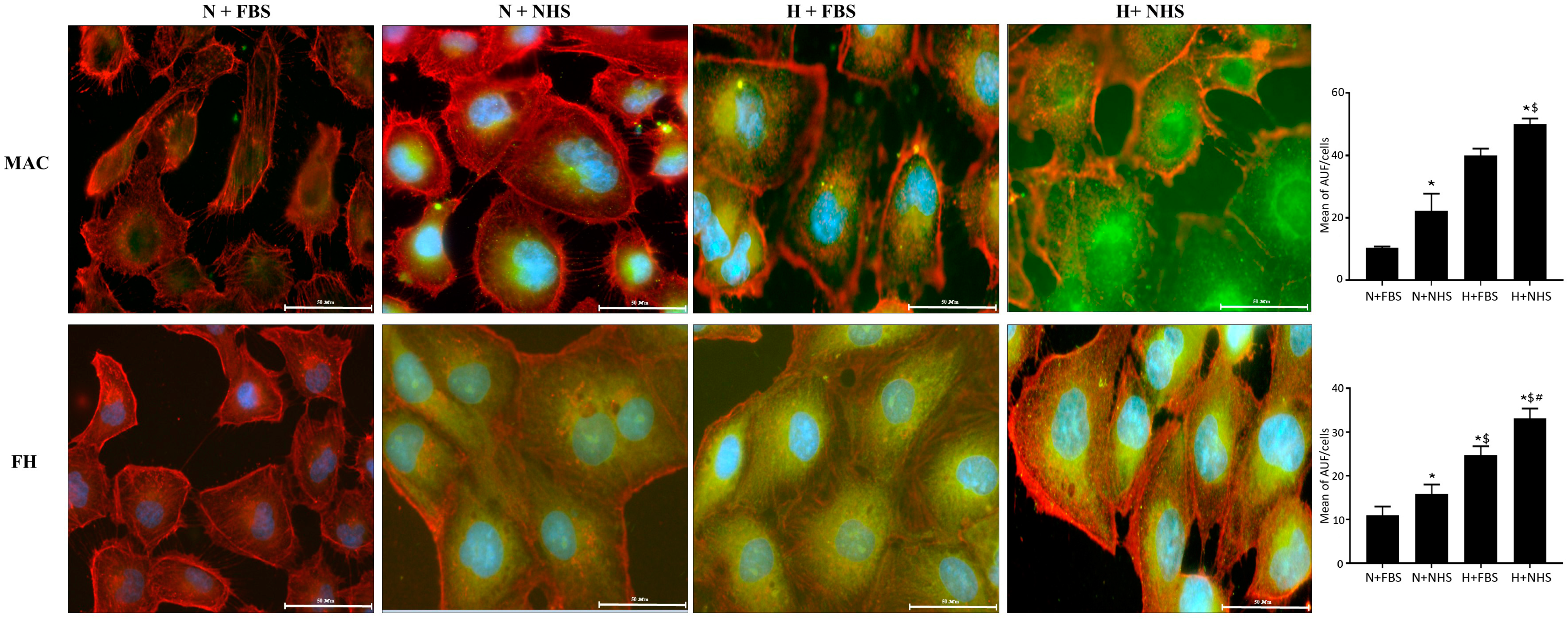 Jcm 10 00974 g001 Jcm 10 00974 g001