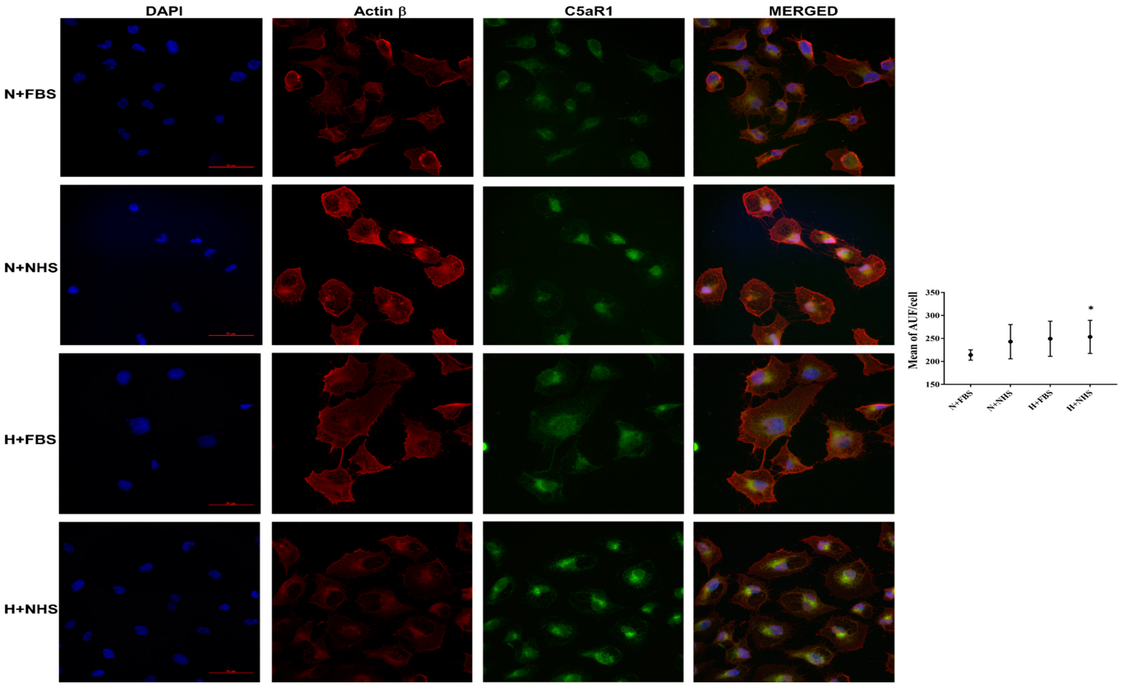 Jcm 10 00974 g003 Jcm 10 00974 g003