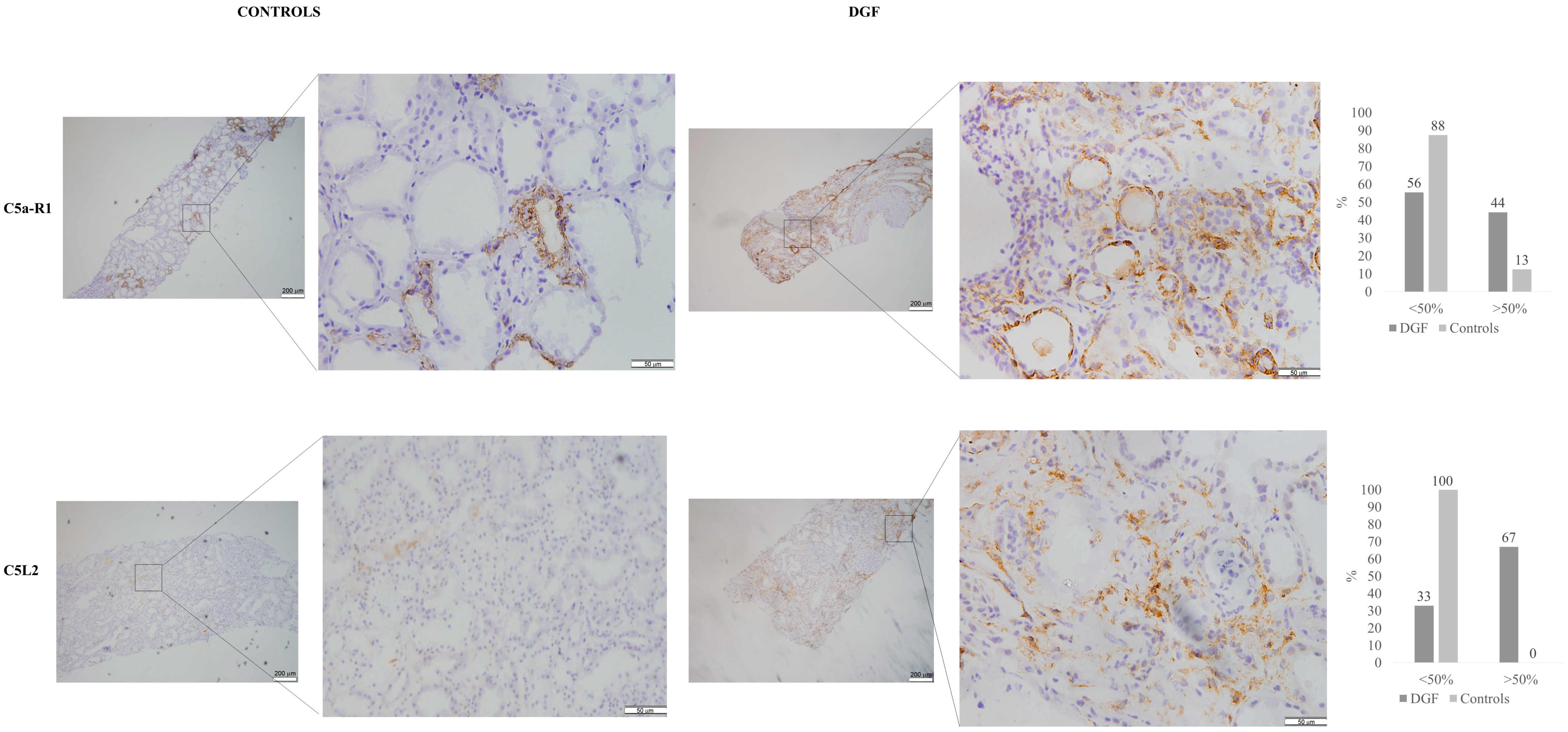 Jcm 10 00974 g004 Jcm 10 00974 g004