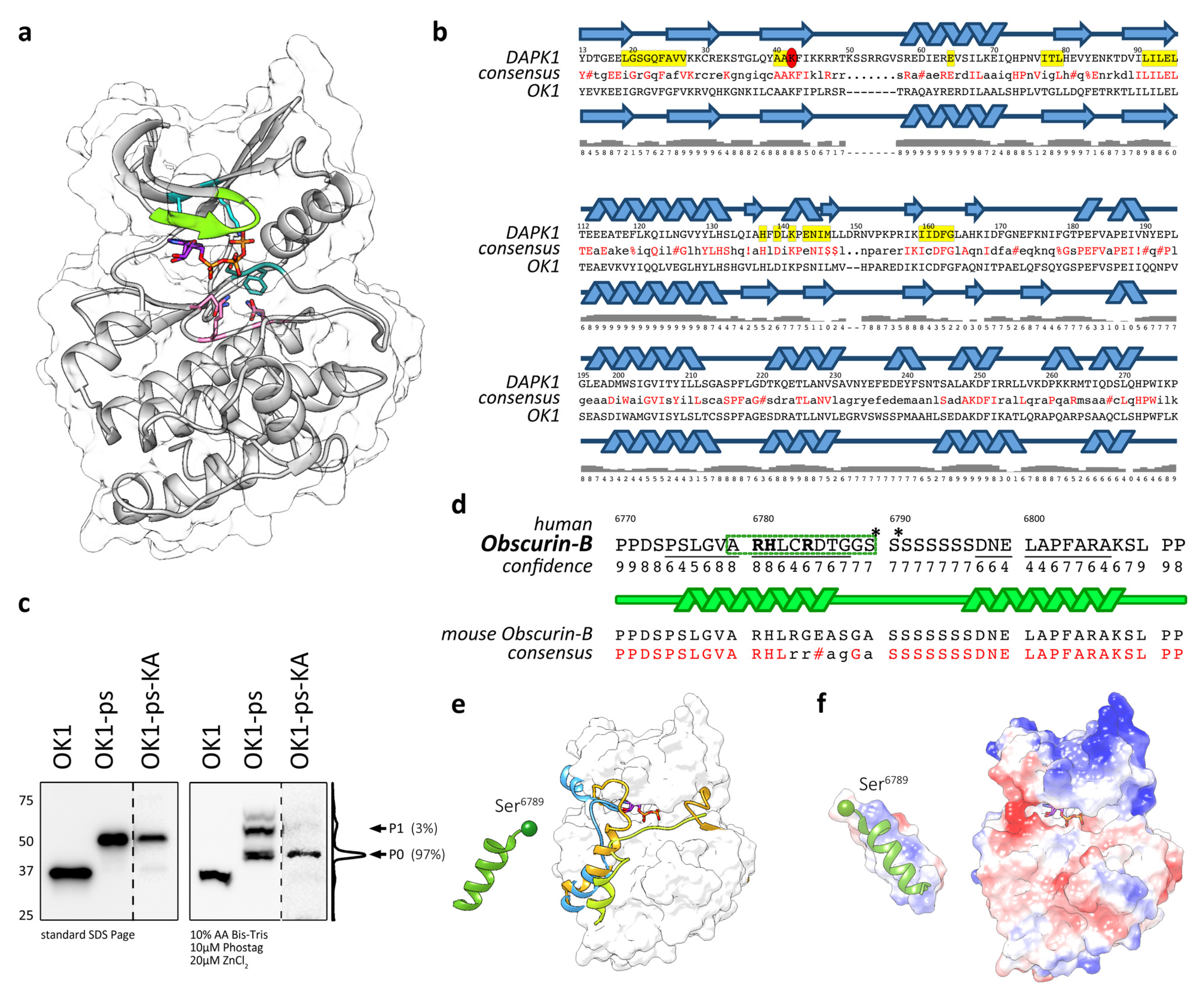 Jcm 10 00984 g003 Jcm 10 00984 g003