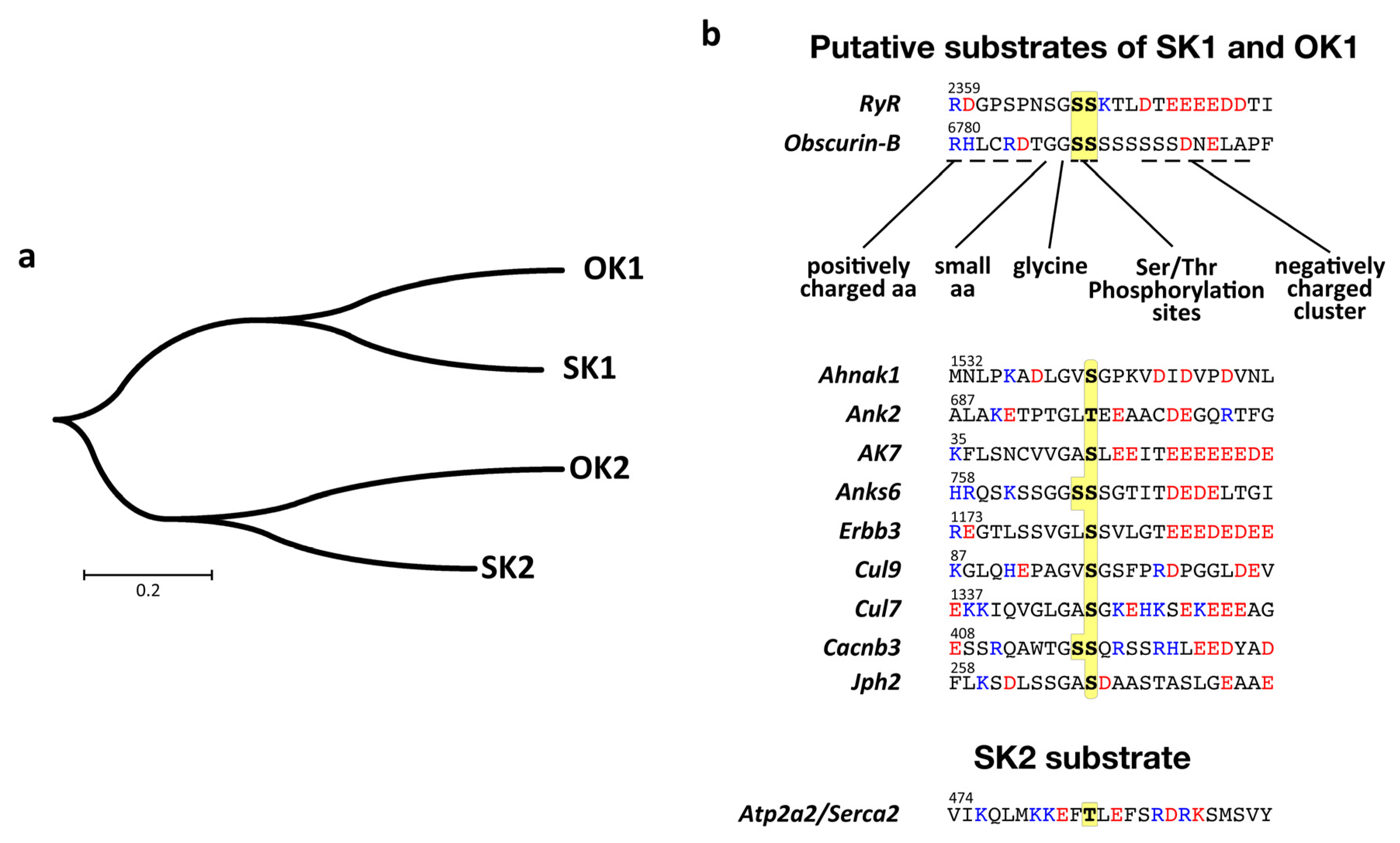 Jcm 10 00984 g004 Jcm 10 00984 g004