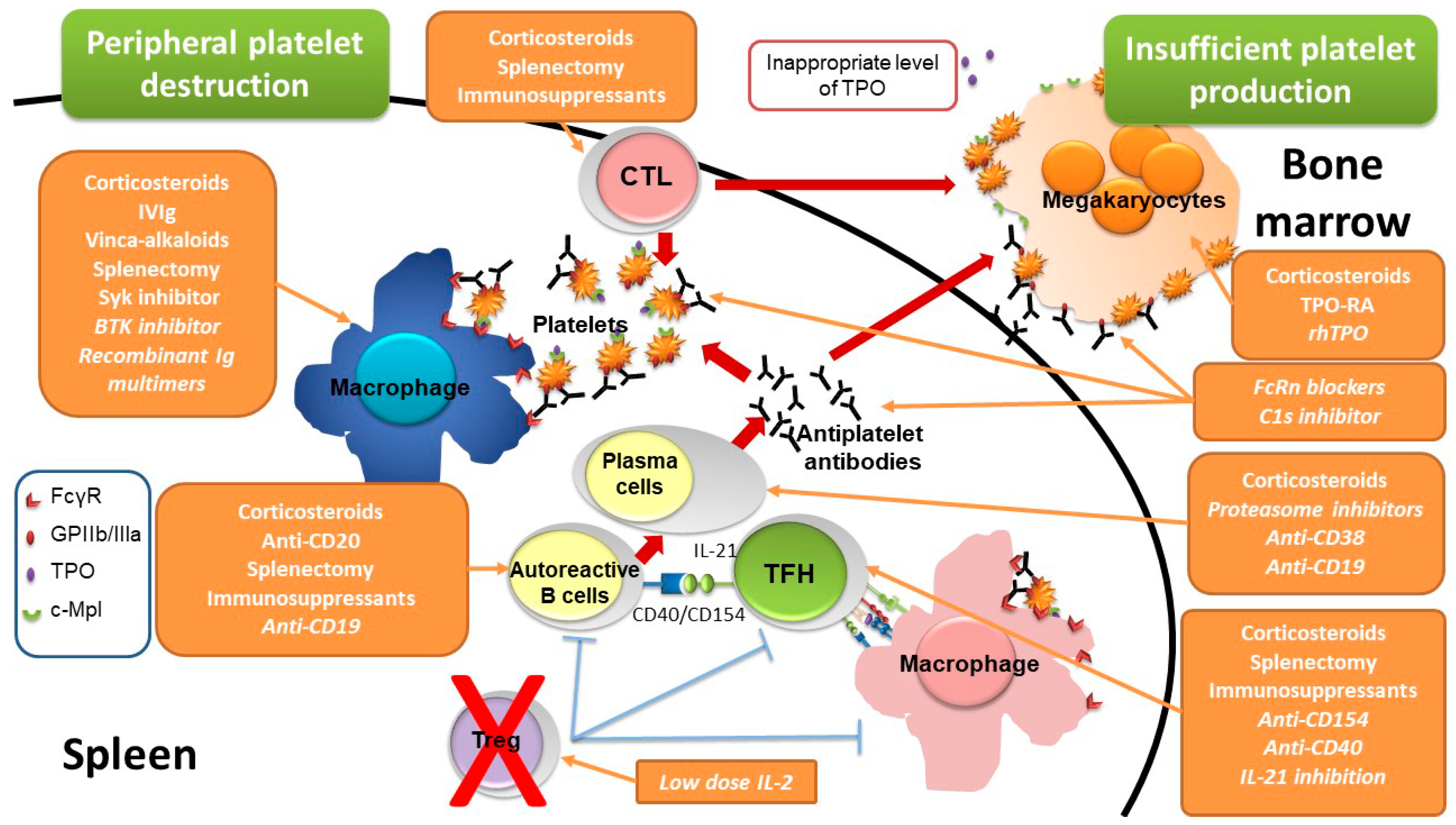 Thrombocytopenia