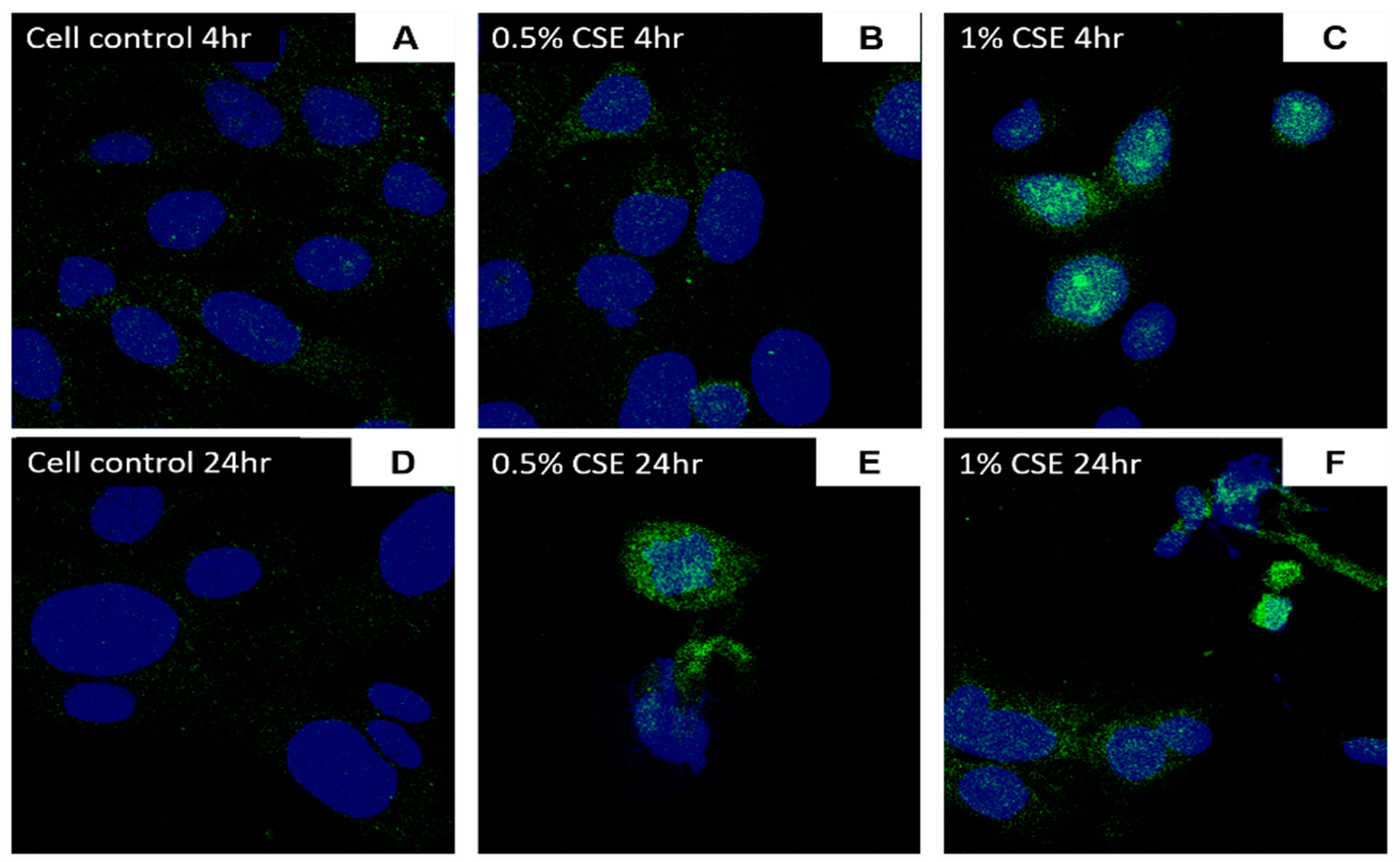 Jcm 10 01028 g009 Jcm 10 01028 g009