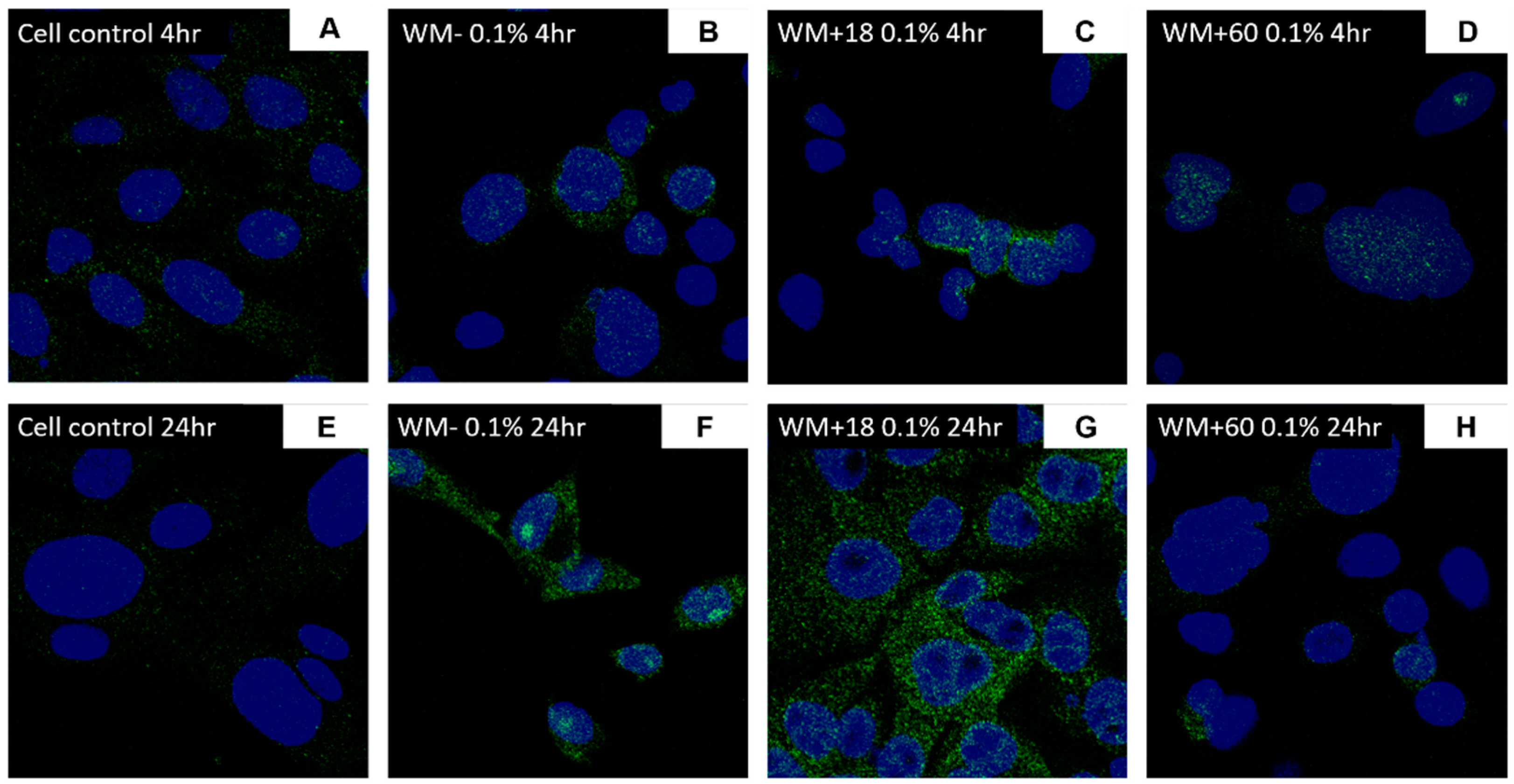 Jcm 10 01028 g010 Jcm 10 01028 g010