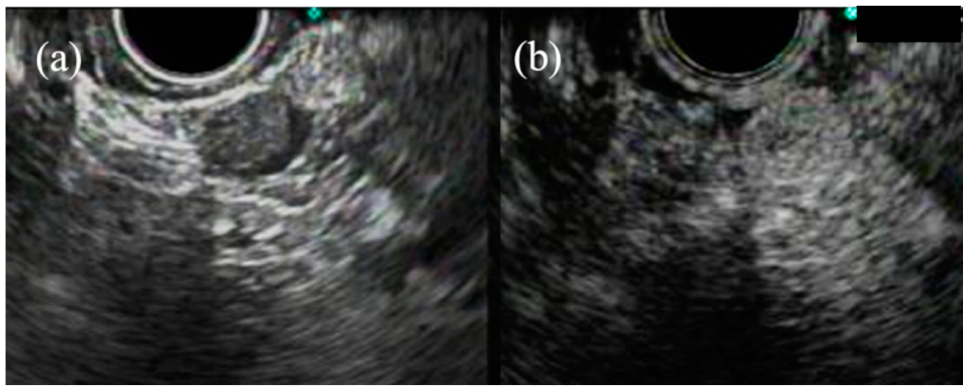 Jcm 10 01076 g003 Jcm 10 01076 g003
