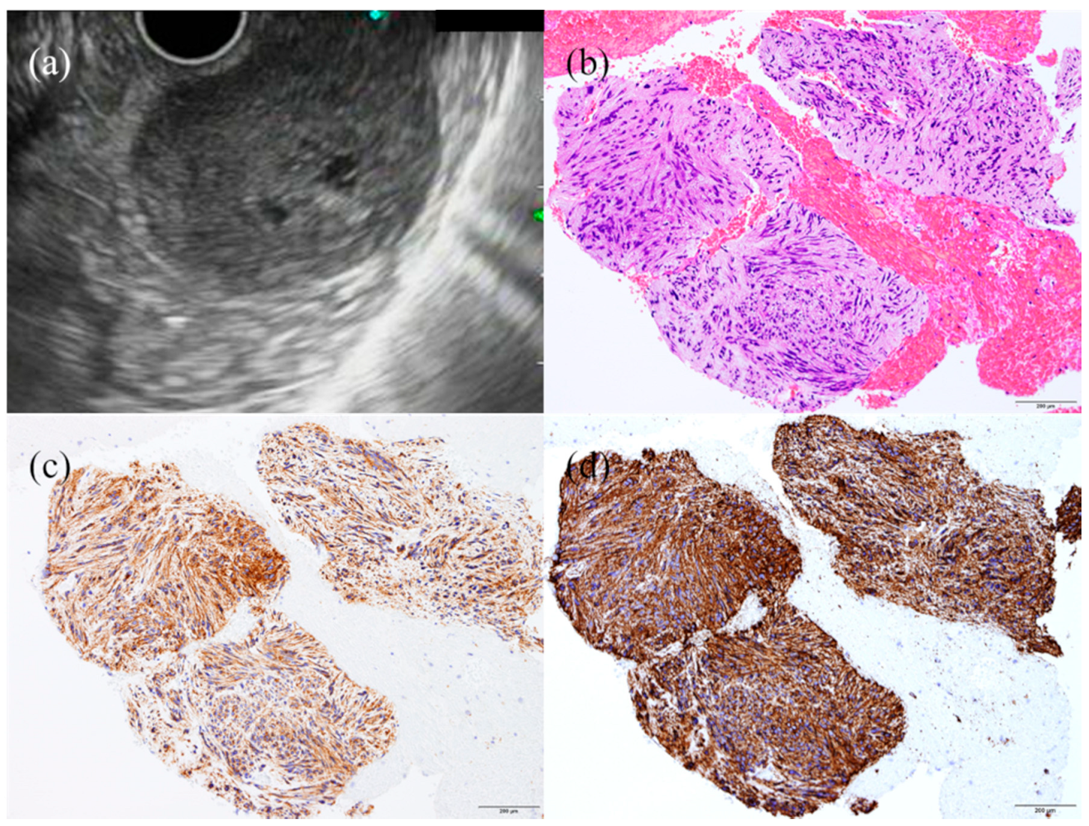 Jcm 10 01076 g005 Jcm 10 01076 g005