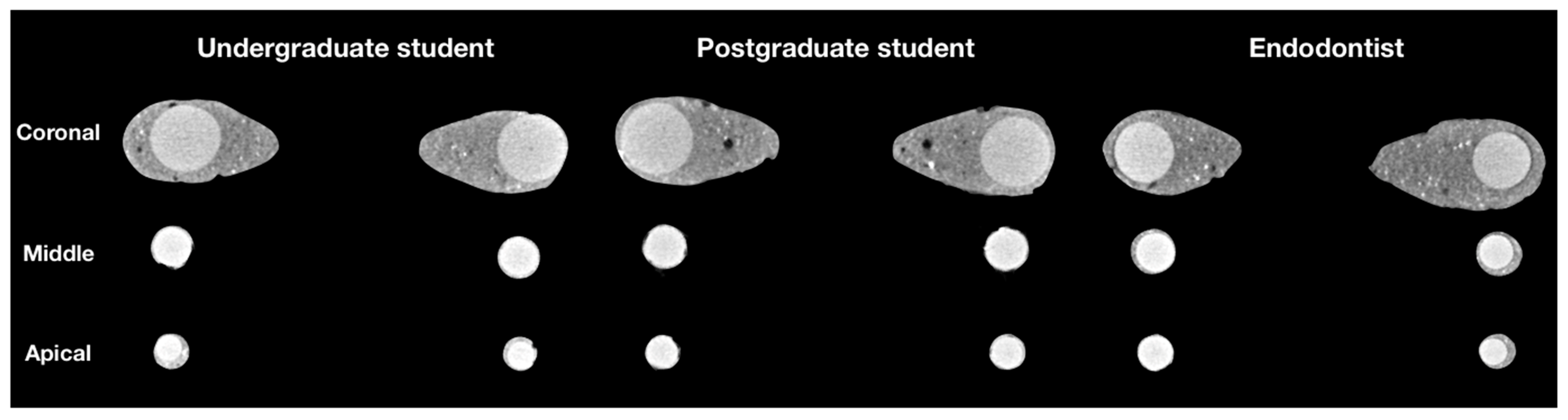 Jcm 10 01080 g002 Jcm 10 01080 g002