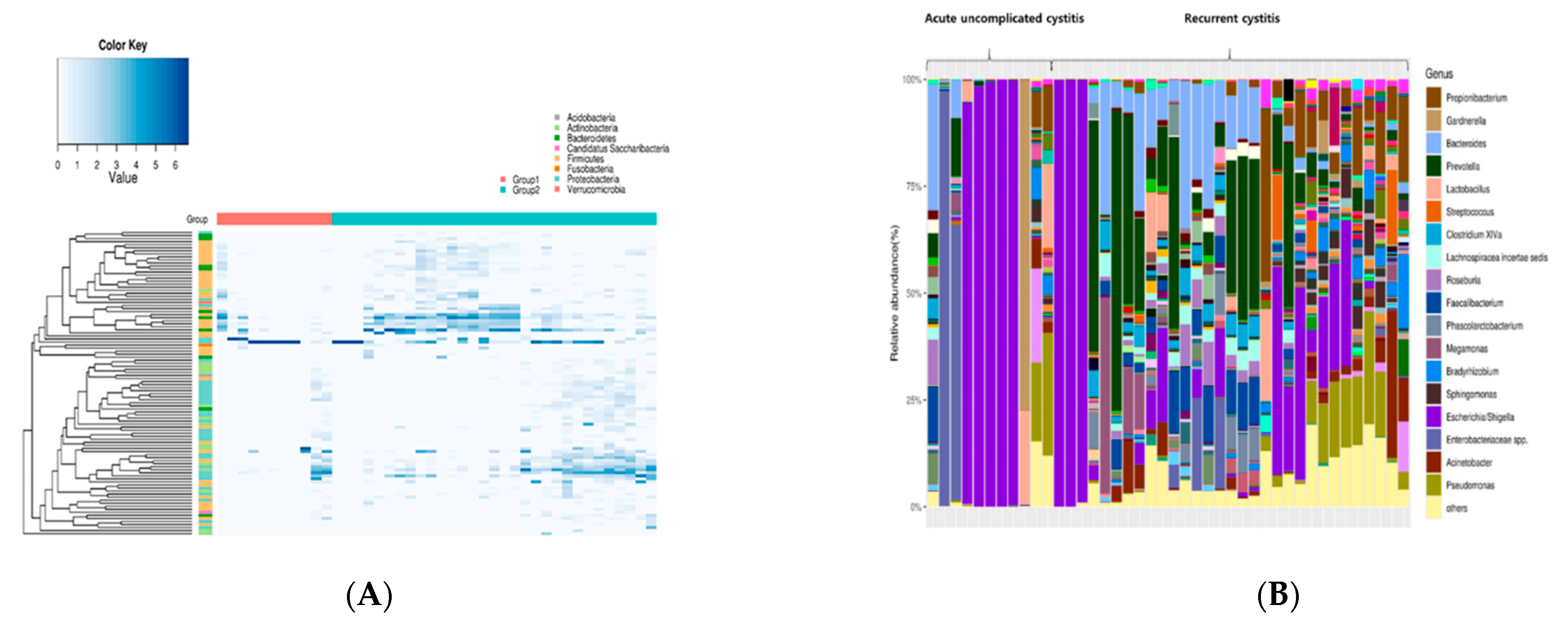 Jcm 10 01097 g002 Jcm 10 01097 g002