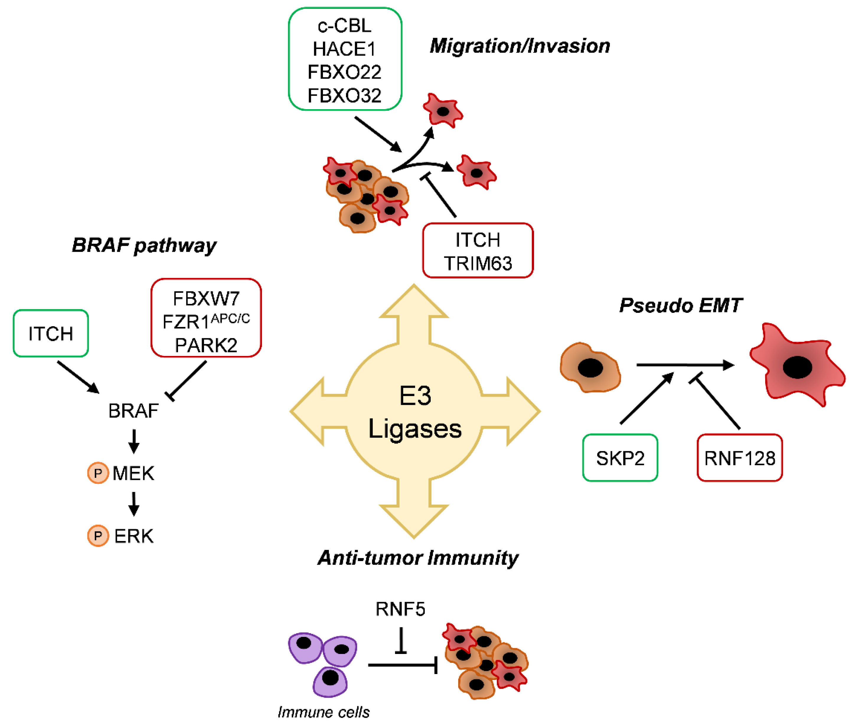 Jcm 10 01133 g002 Jcm 10 01133 g002